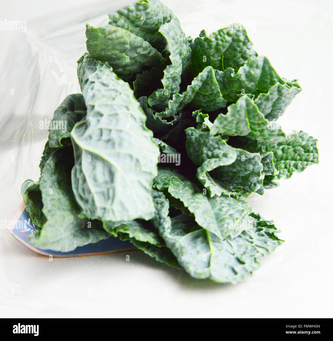 Kale. Green Kale. Stock Photo
