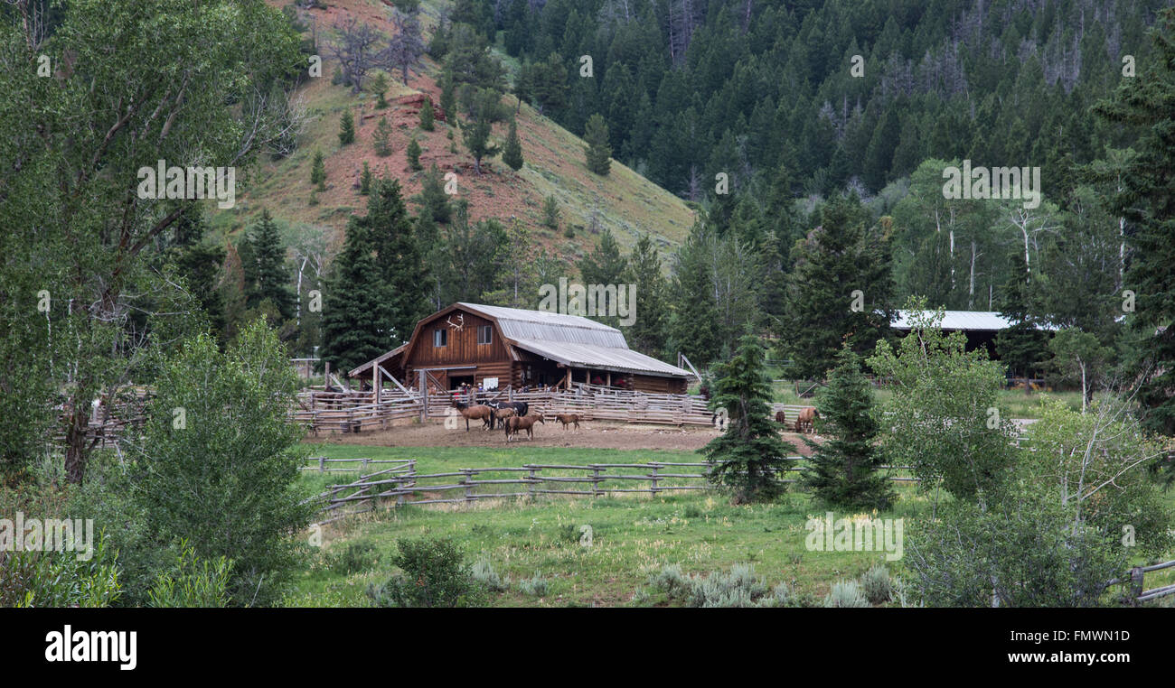 Wyoming horse ranch hi-res stock photography and images - Alamy