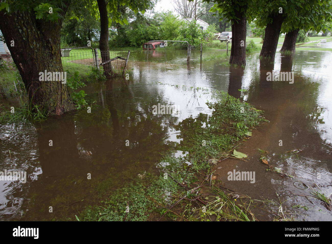 Heavy rains from Tropical storm Bill flooded the yard of houses outside ...