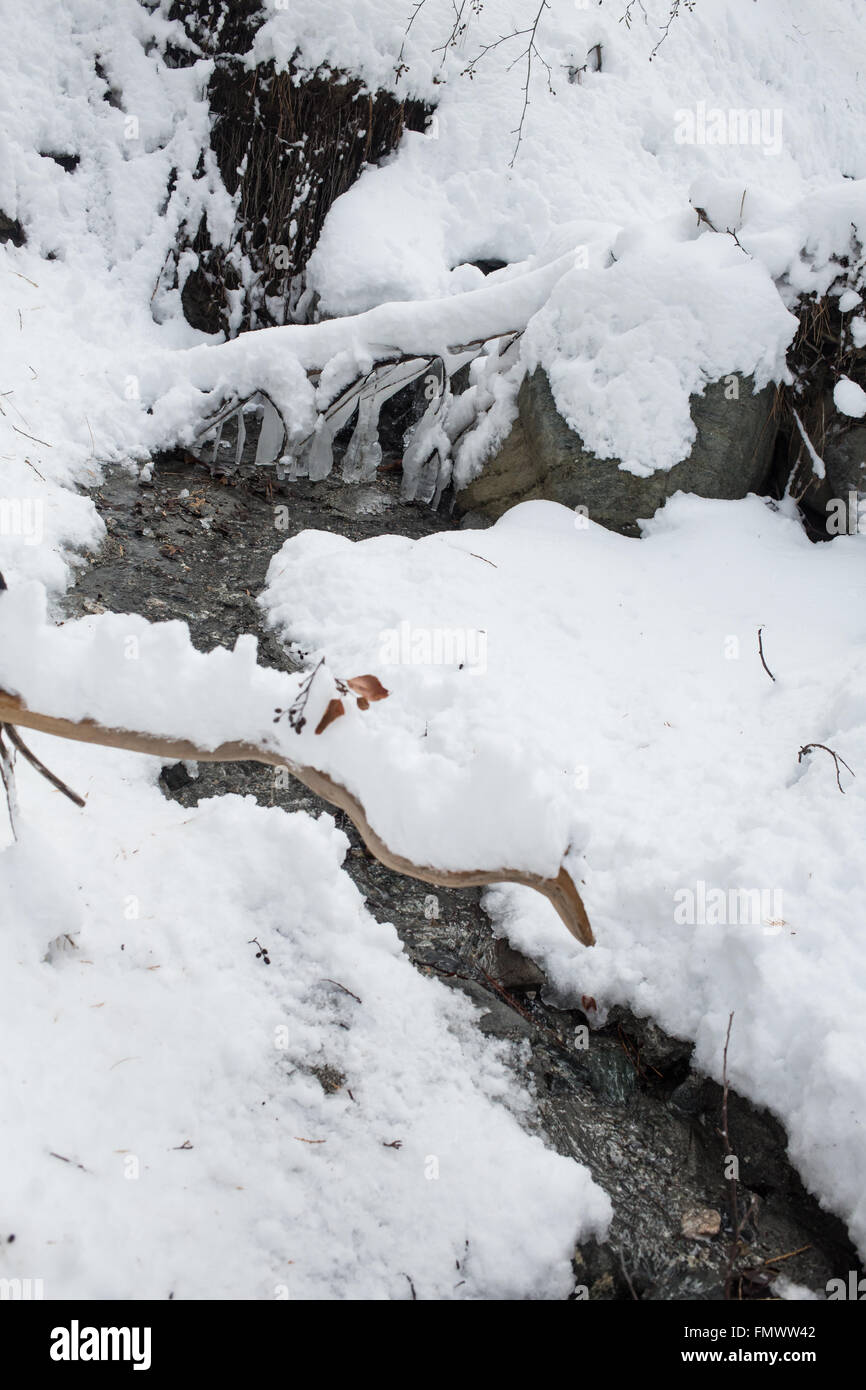 Almost frozen hi-res stock photography and images - Alamy