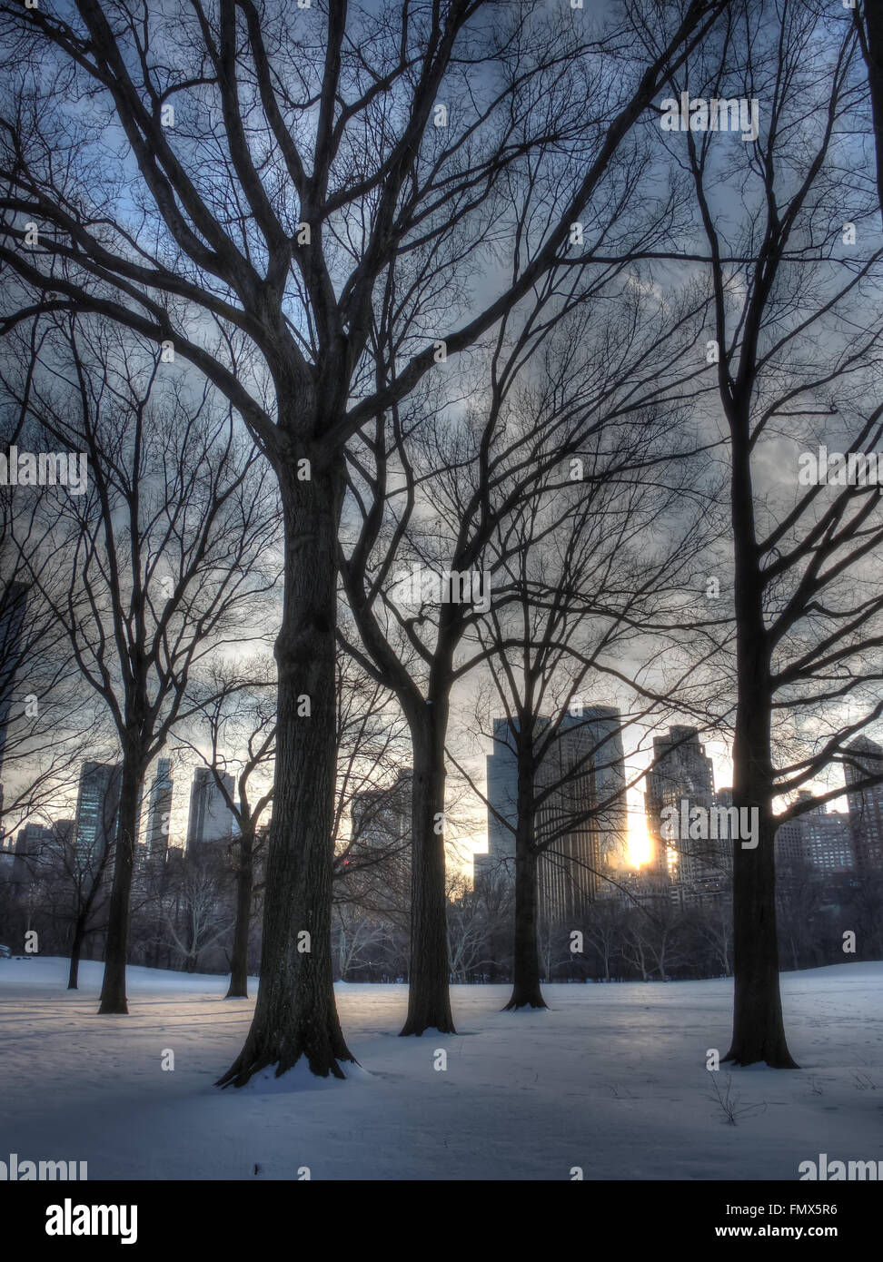 sunset at Central Park Stock Photo Alamy