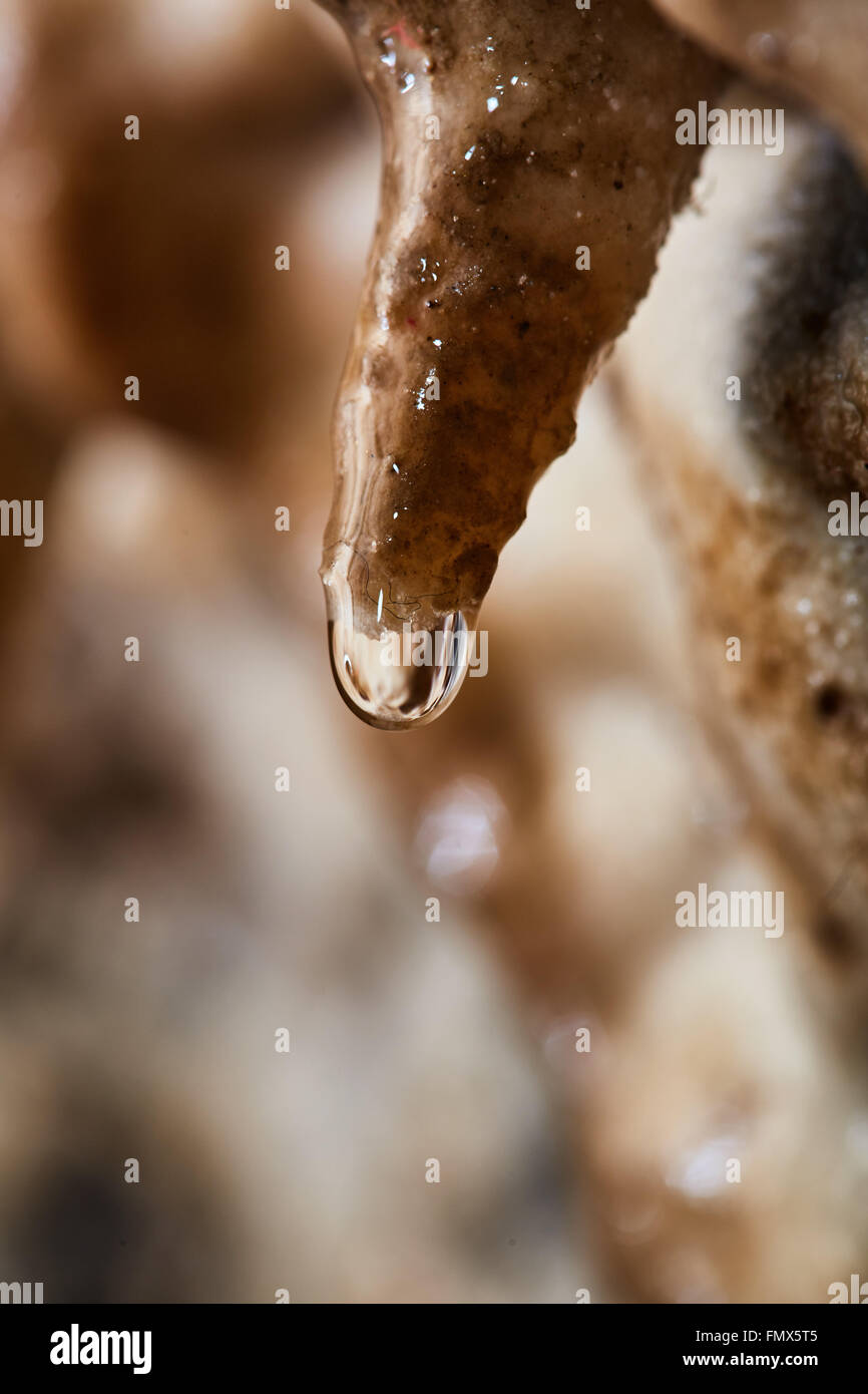 Closeup of cave curtain formations dripping water Stock Photo Alamy