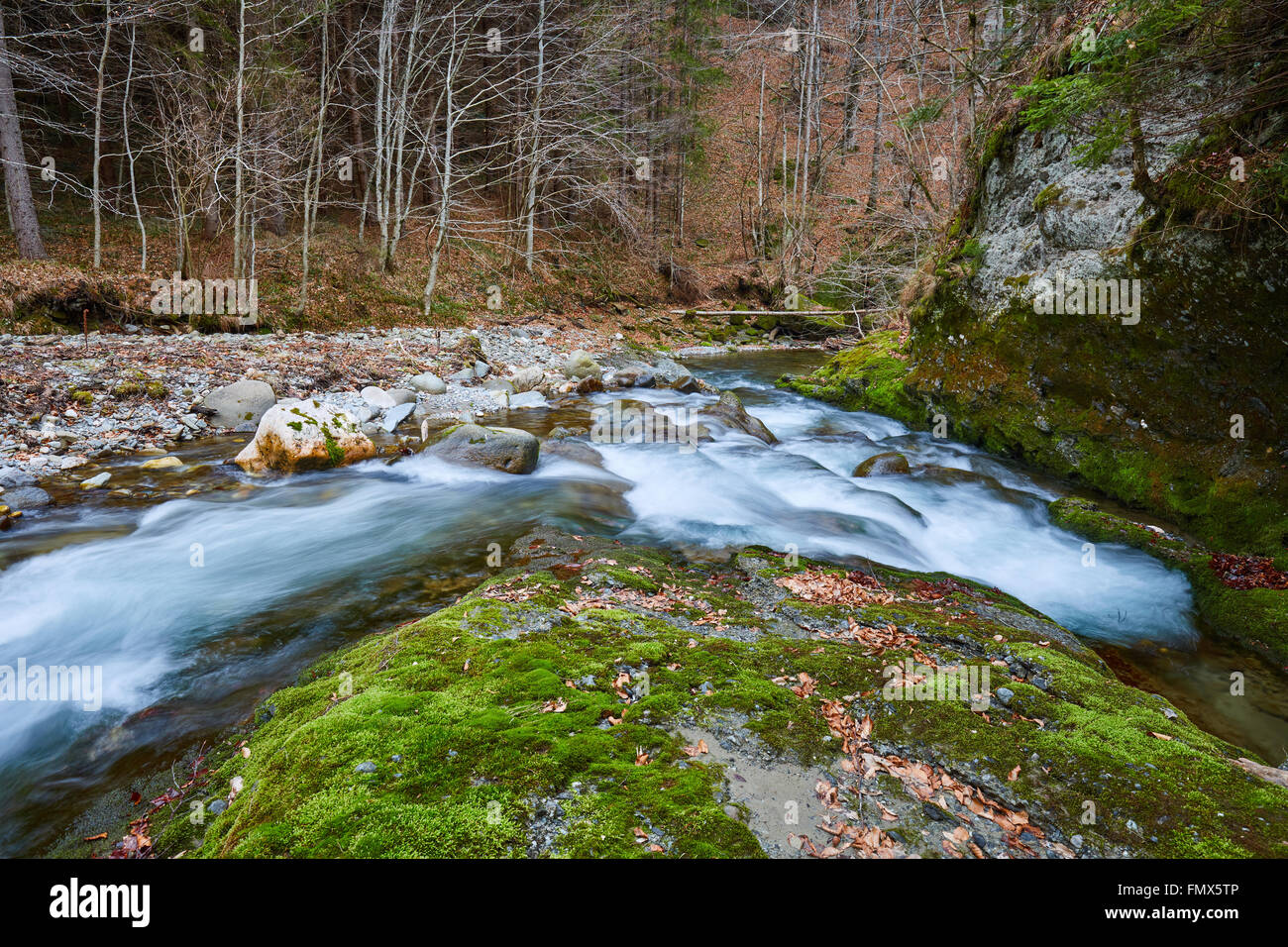 Landscape with a river flowing through forest in the mountains Stock ...