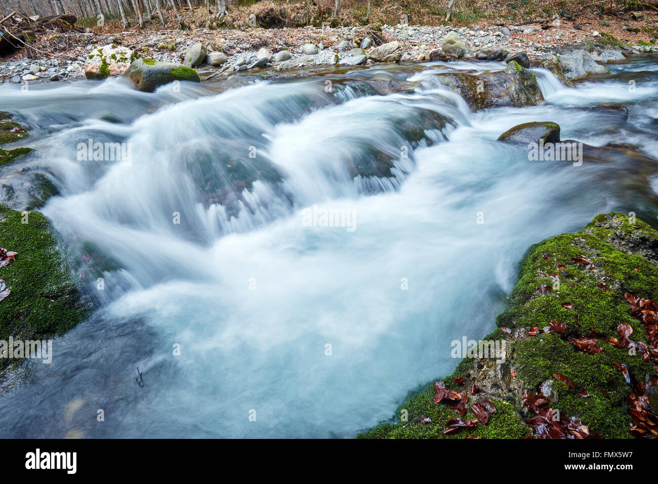 Landscape with a river flowing through forest in the mountains Stock ...