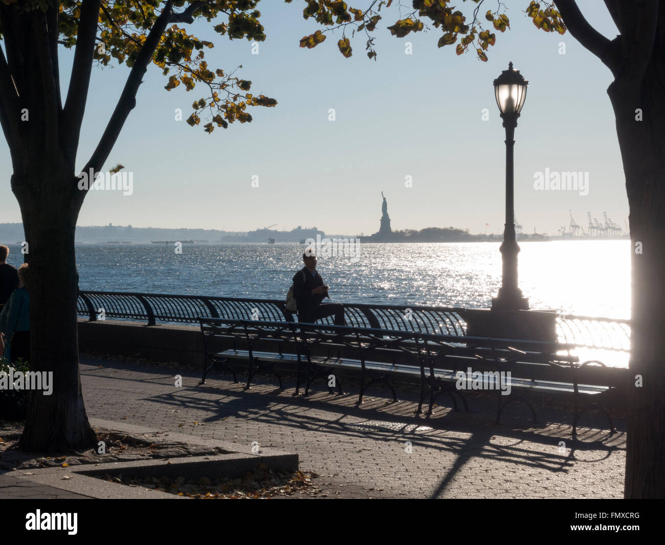 View from Battery park on the Statue of liberty, in the south of