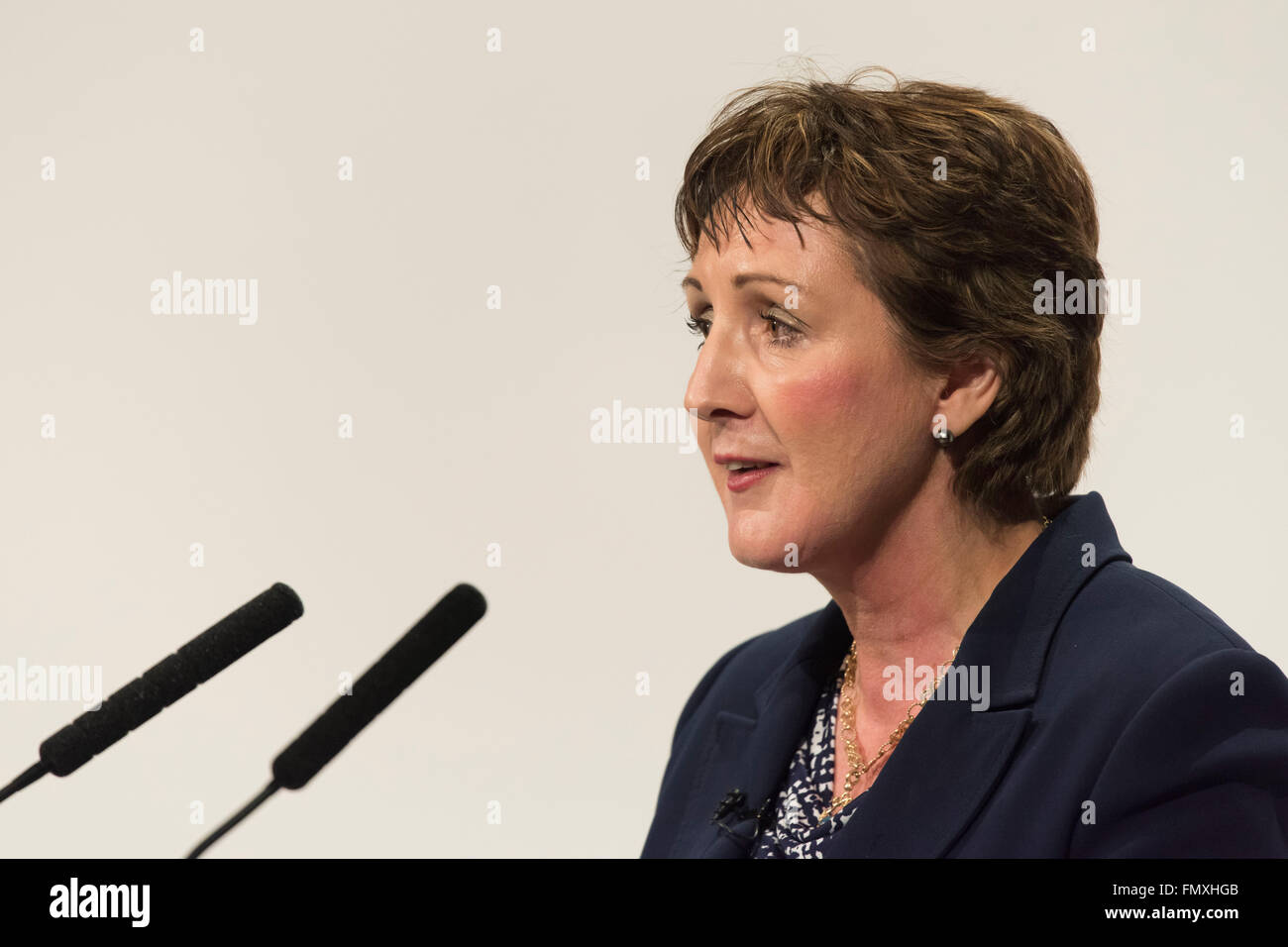 Janet Finch-Saunders AM for Aberconwy. Stock Photo