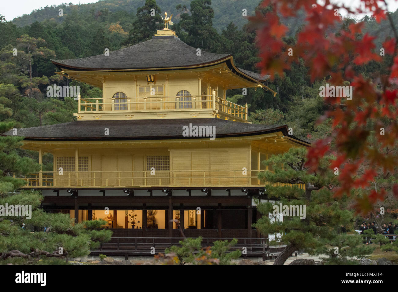 The Golden Pavilion (Kinkaku-ji) of Kyoto, Japan. Stock Photo