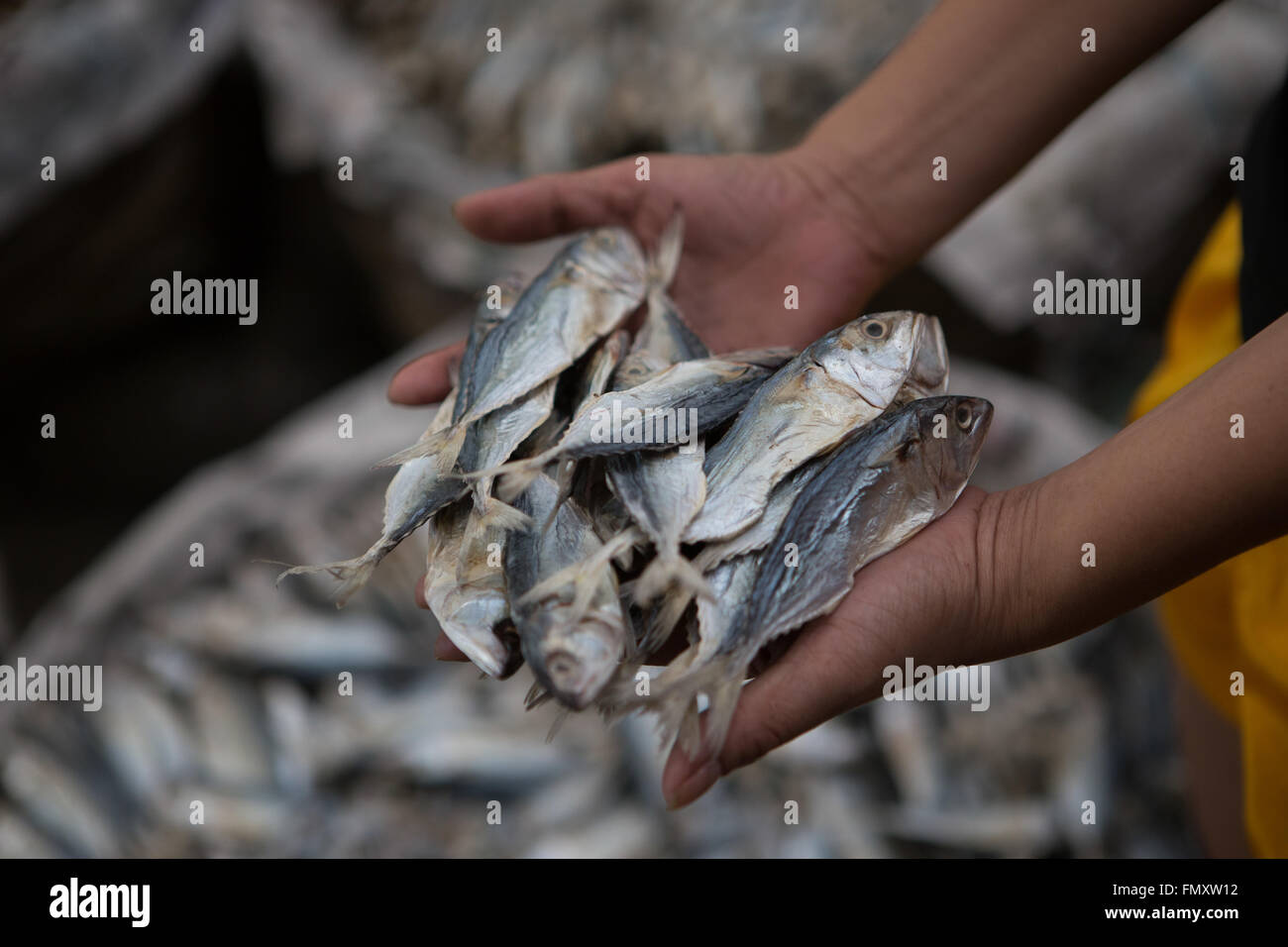 Dried fish for sale,Taboan Market,Cebu City,Philippines Stock Photo