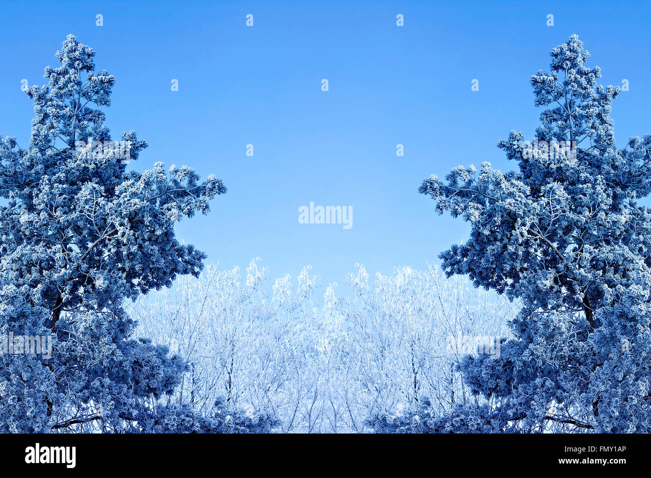 Winter background with icy branches Stock Photo - Alamy