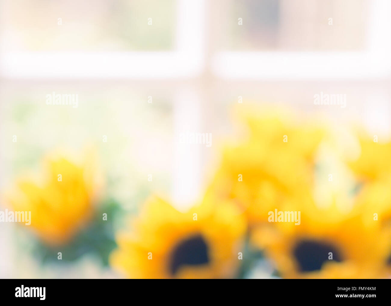 blurred background image of vase of sunflowers in front of traditional white framed window Stock Photo