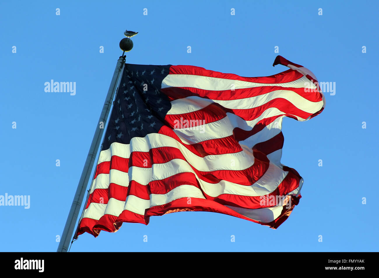 USA Flag on pole waving in the wind Stock Photo - Alamy