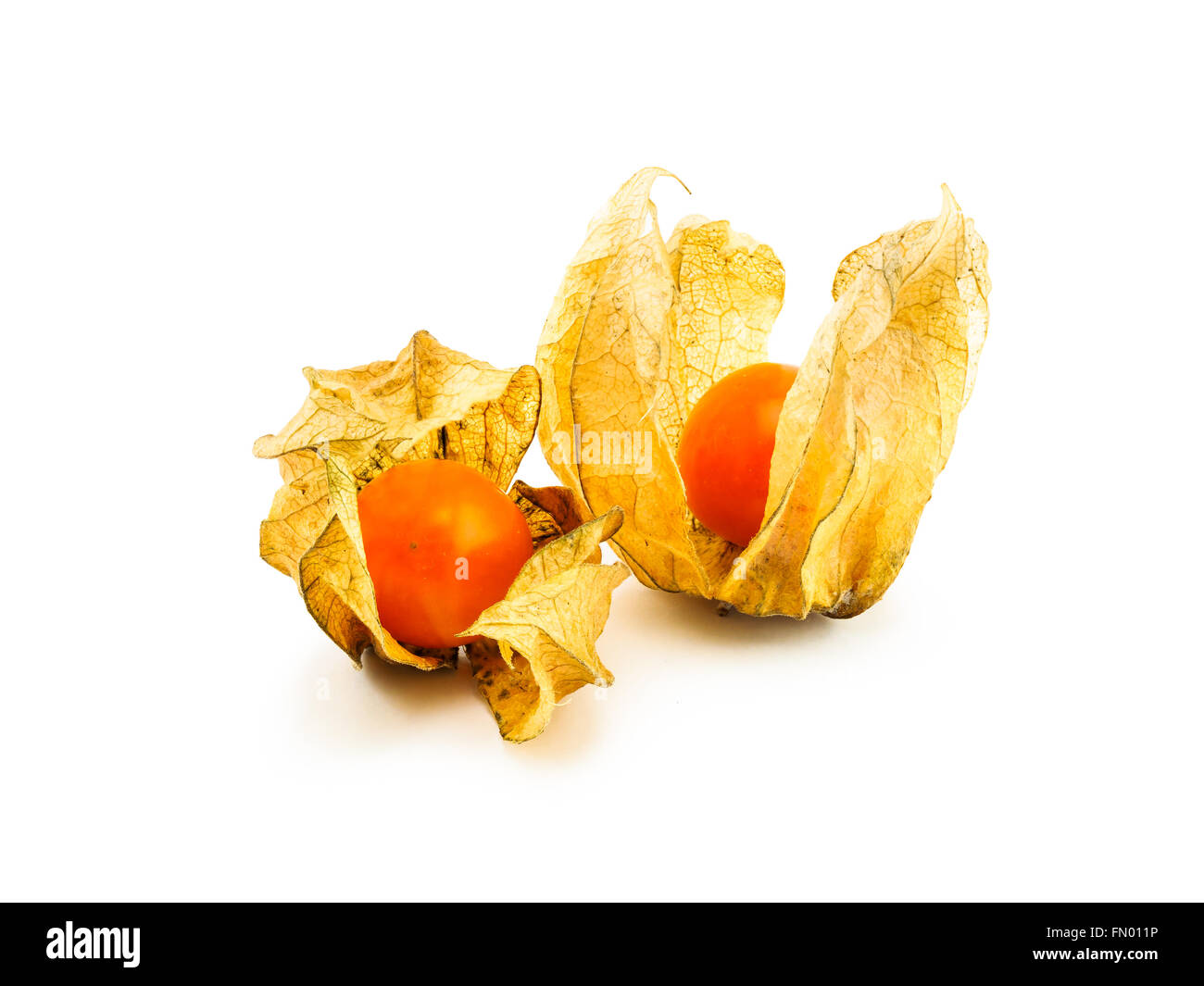 Closeup of Cape Gooseberry isolated on white background Stock Photo