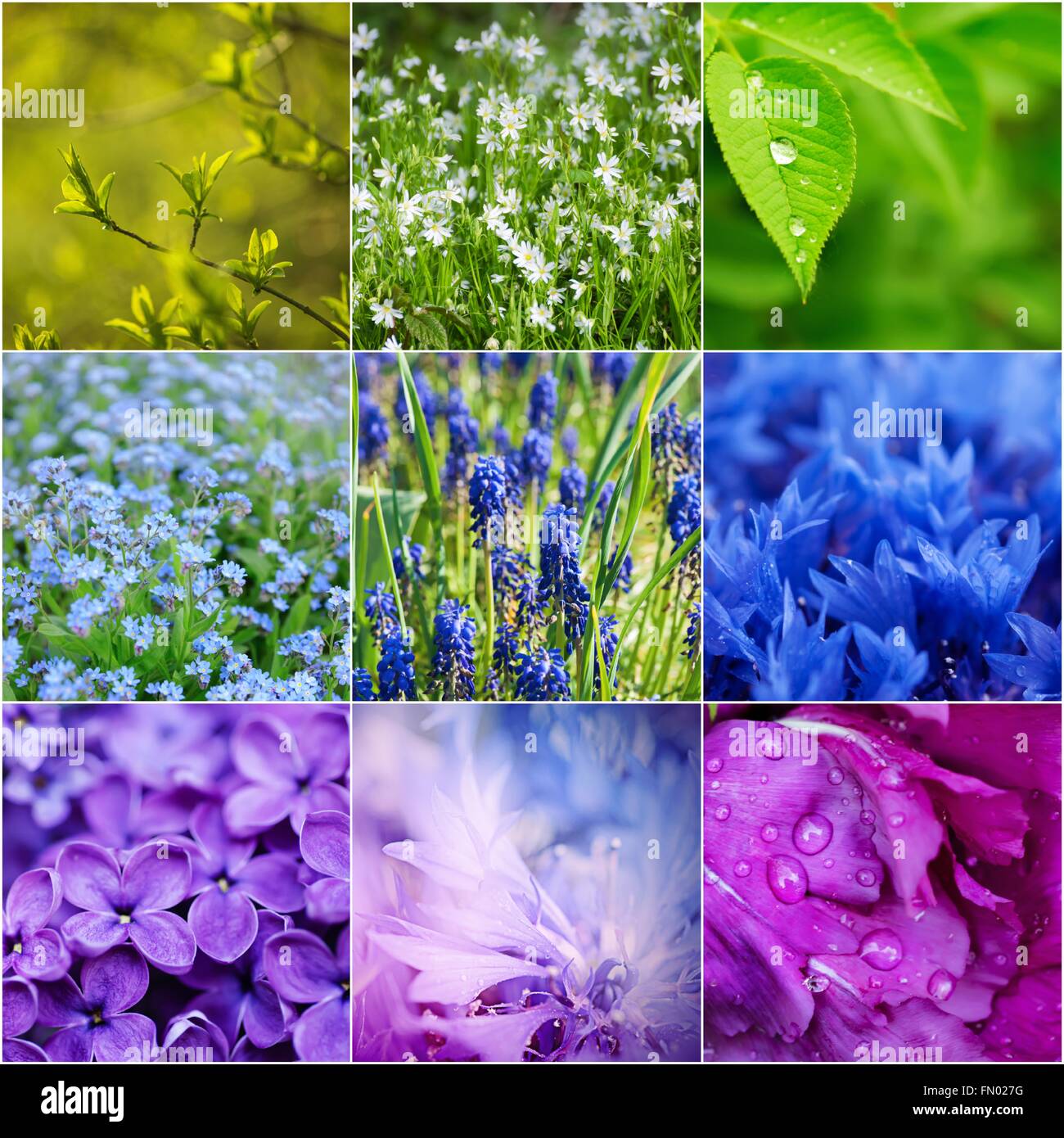 Flower spring collection Stock Photo Alamy