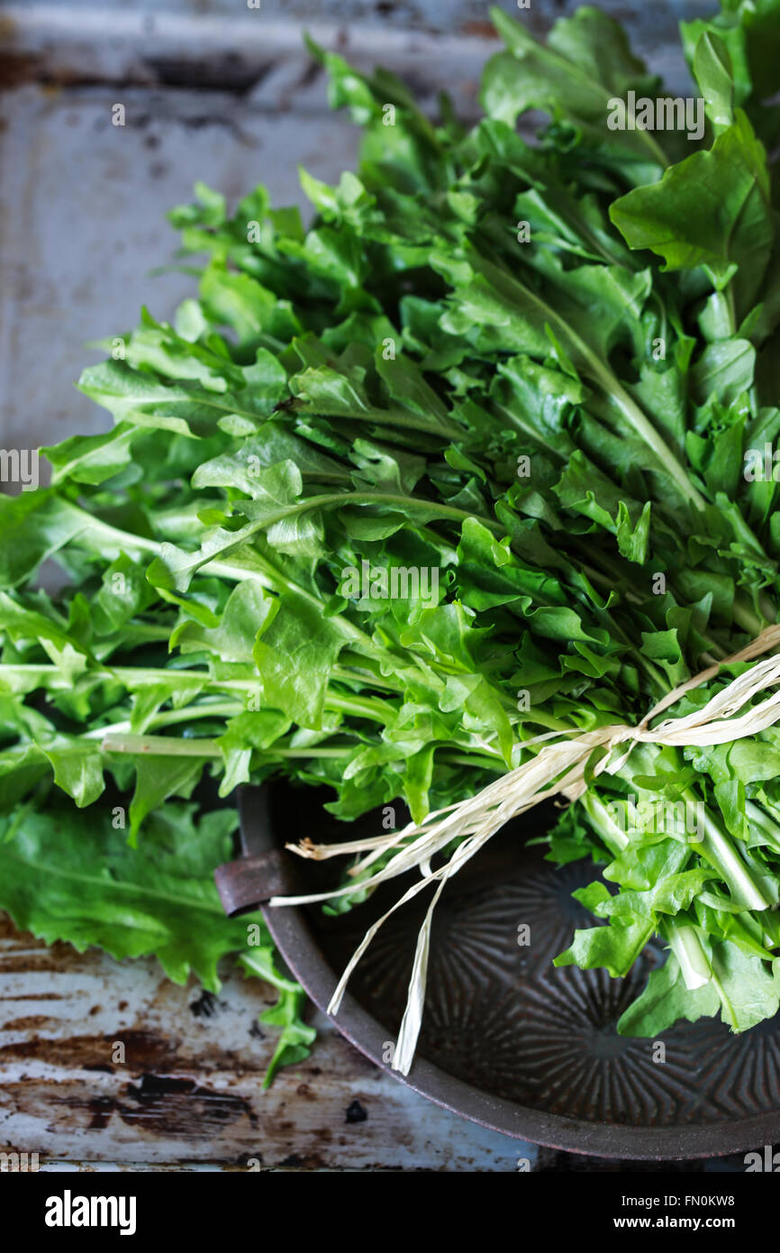 Bunch of fresh dandelions leaves Stock Photo Alamy