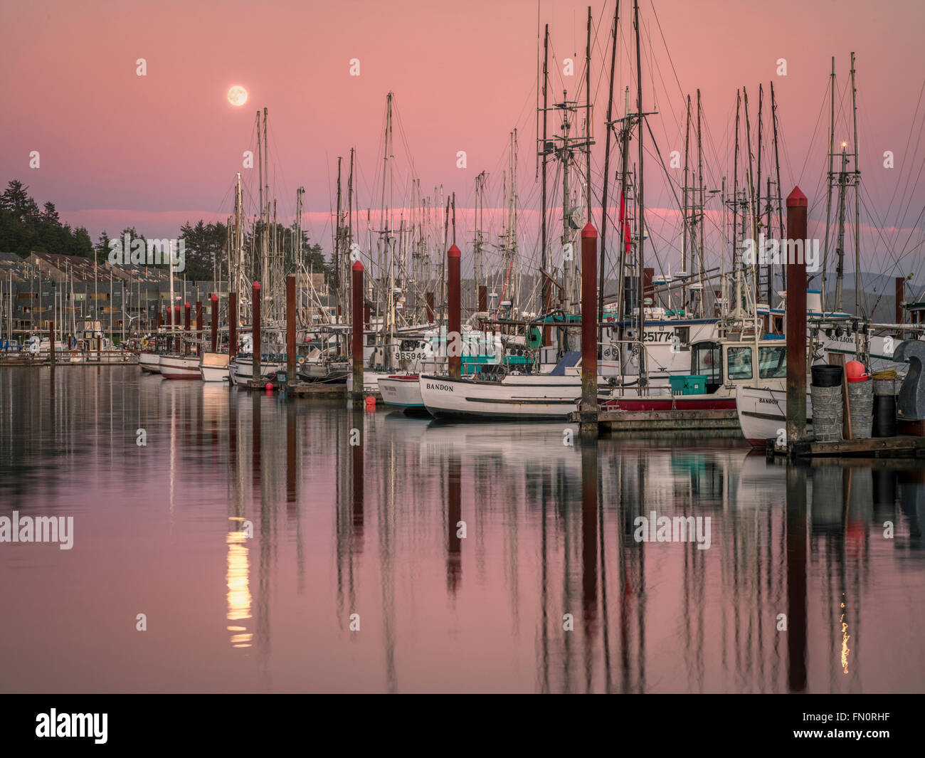 Moon set over Newport Harbor with fishing boats. Newport, Oregon Stock Photo