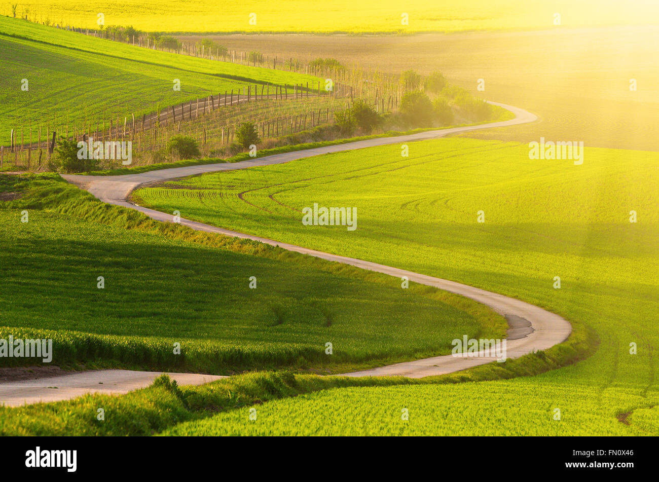 Rural landscape with road Stock Photo - Alamy