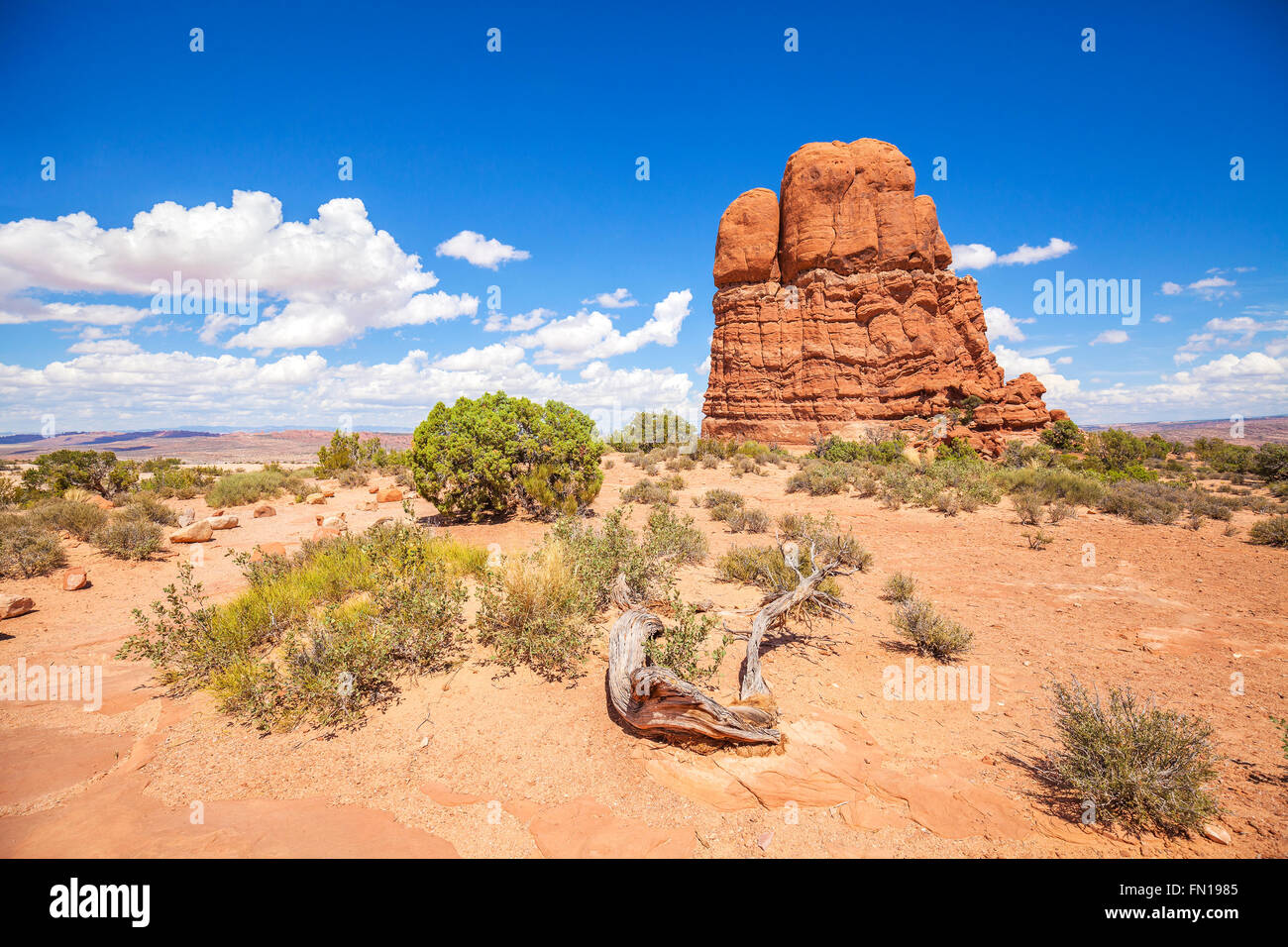 Wilderness and rock formations in Arches National Park, USA. Stock Photo