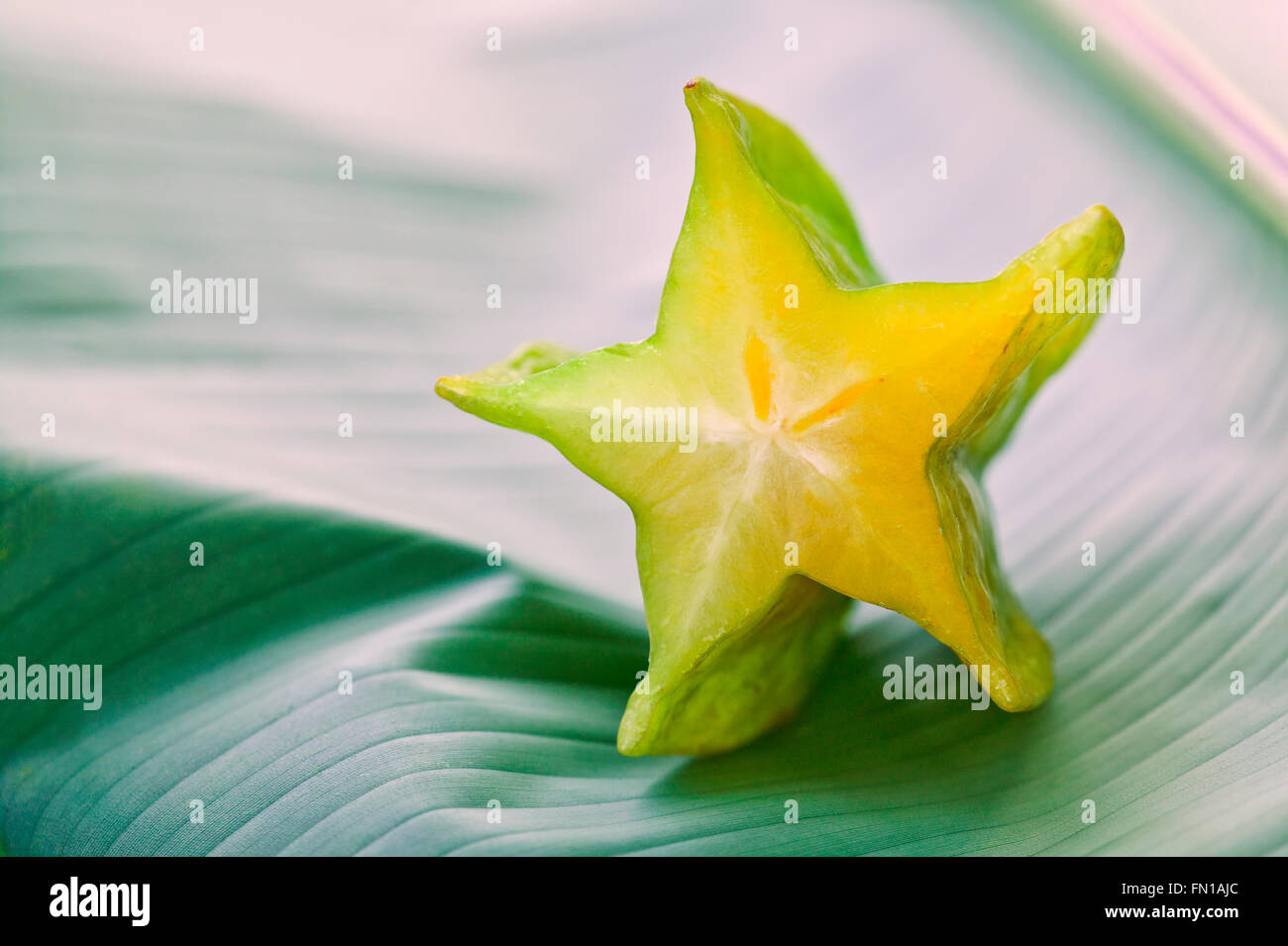 Halved Starfruit  'Averrhoa carambola'. Stock Photo