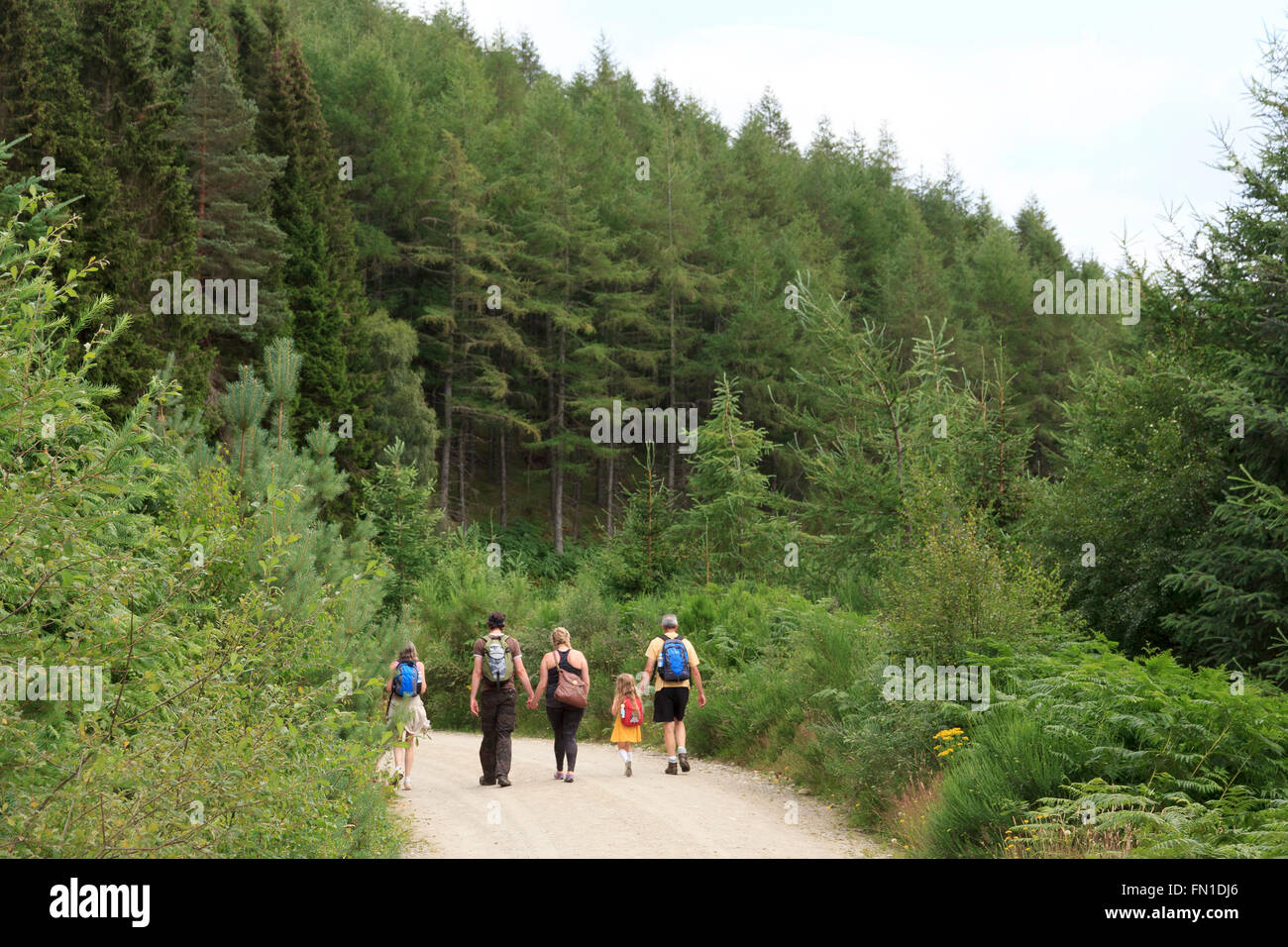 A family walking in the Allean Forest, part of the Tay Forest Park, Perthshire, Scotland Stock Photo