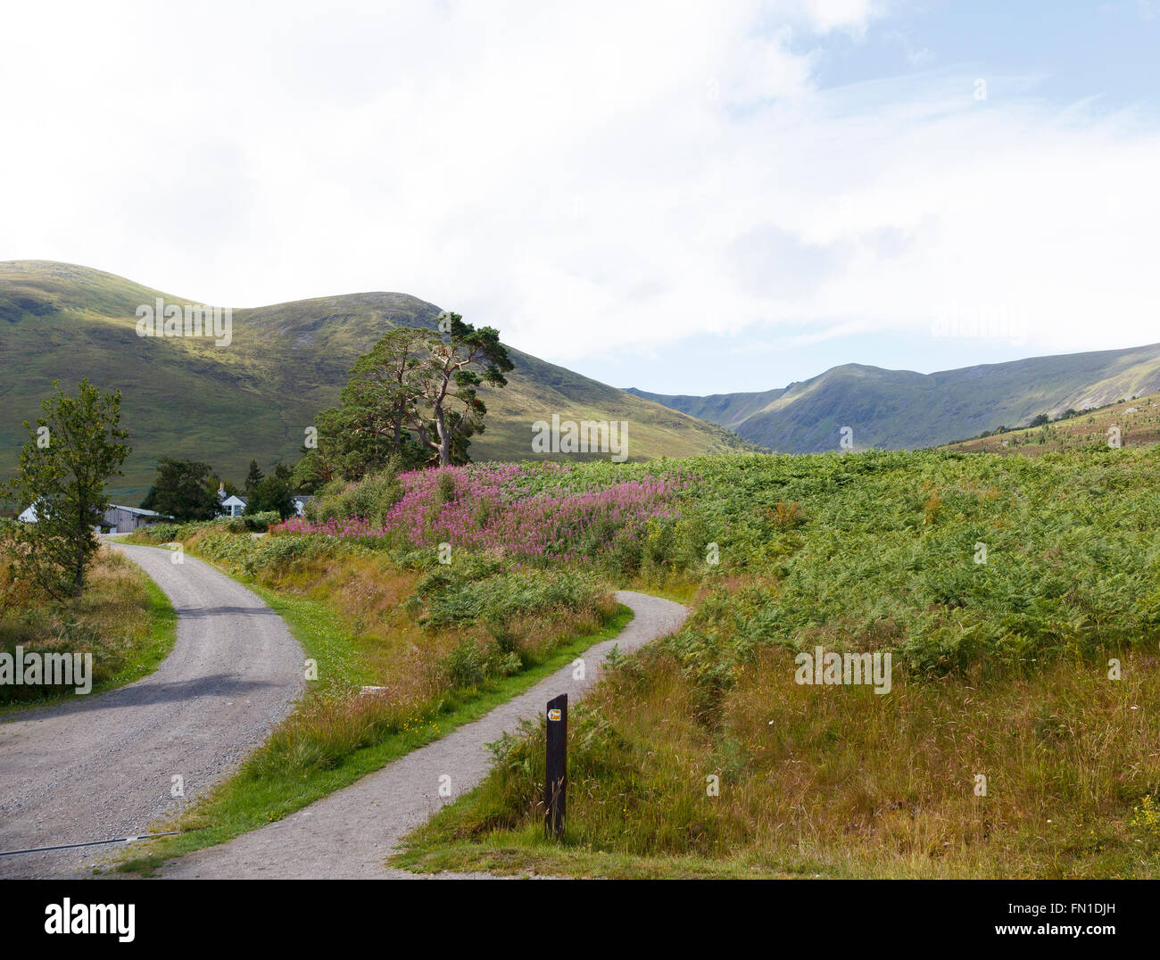 Zoo om natten controller Forvent det Creag Meagaidh National Nature Reserve on the shores of Loch Laggan,  Lochaber, Scotland. This is near the car park with its lowl Stock Photo -  Alamy