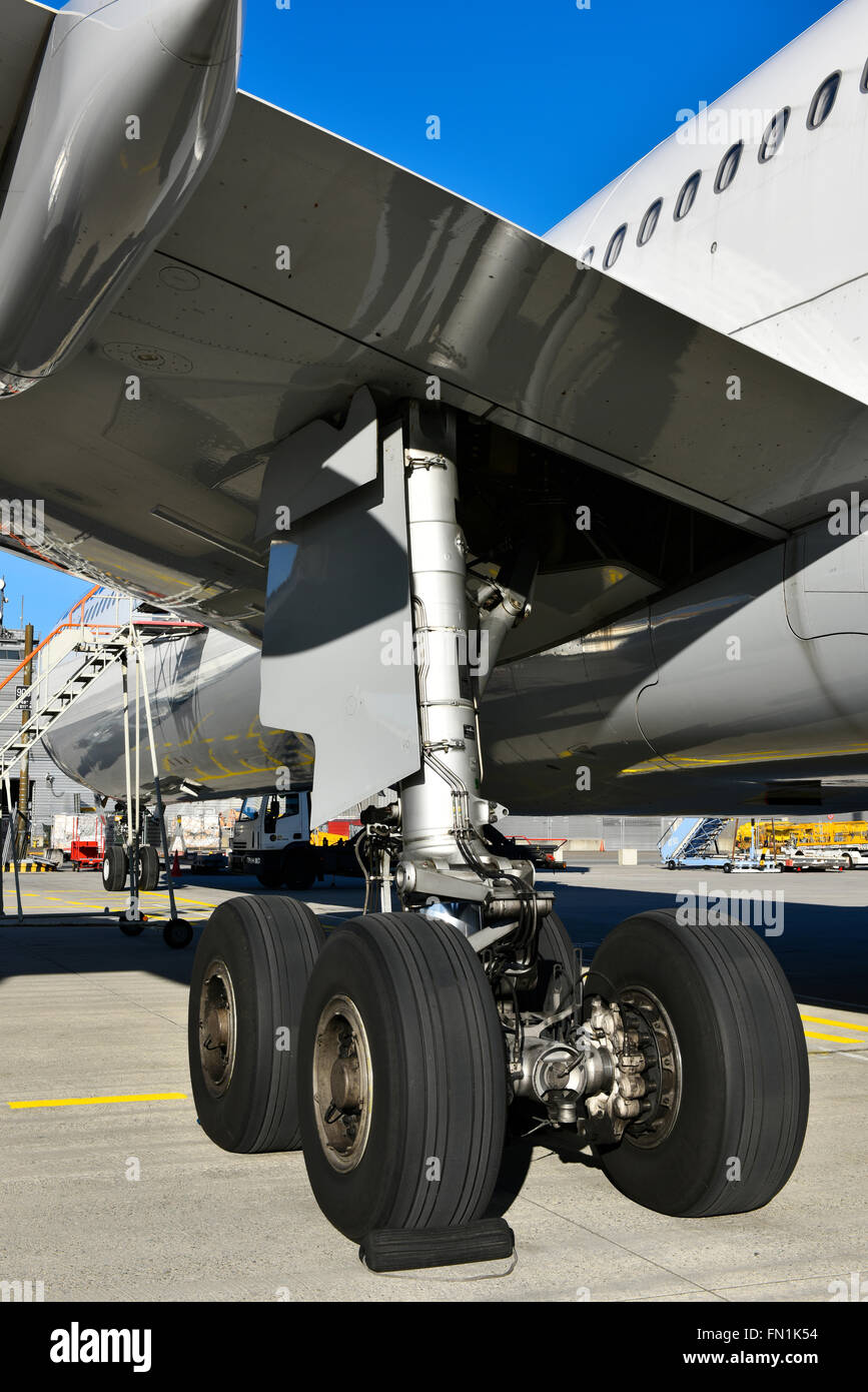 landing gear, airbus, a 340, wheel, tire, wing, tank, aircraft, airport, line up, aircraft, airplane, plane, wing, ramp, MUC Stock Photo