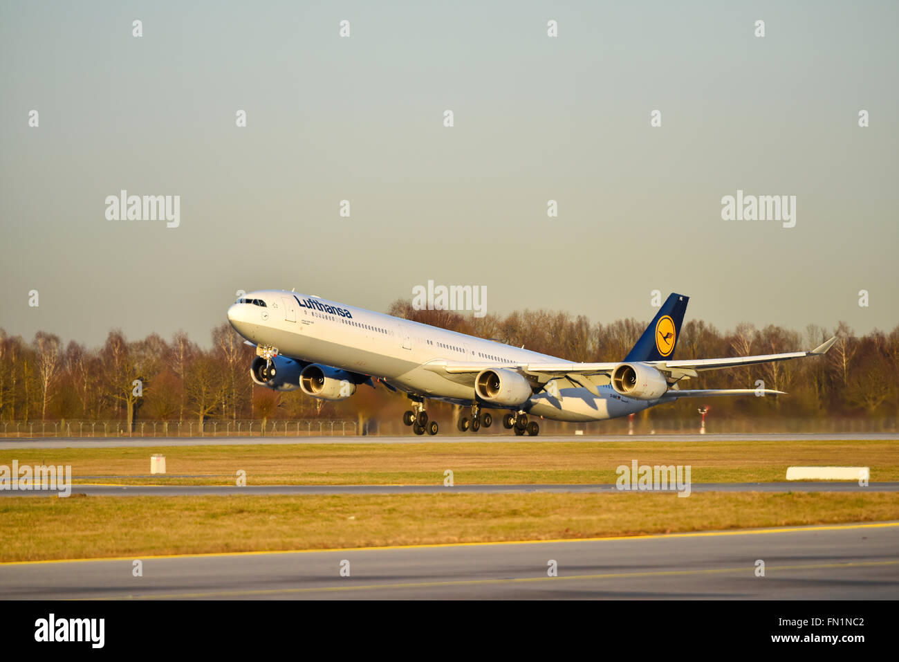 Lufthansa, LH, Airbus, A 340, 600, A340-600, take of, take off, aircraft, airport, overview, panorama, view, aircraft, MUC Stock Photo