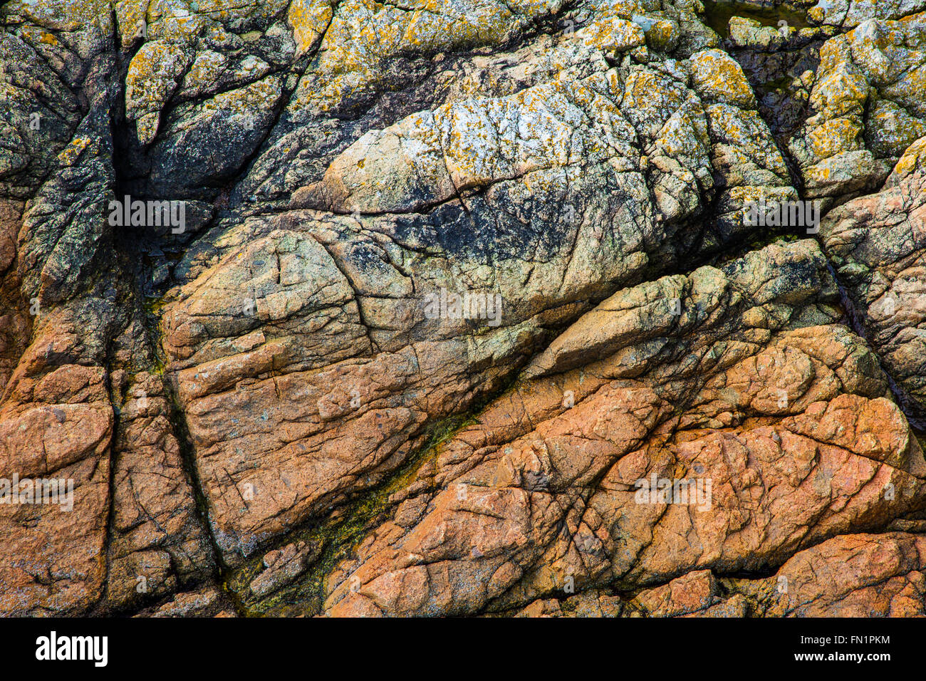 Fissured rock texture on the Canadian West Coast Stock Photo - Alamy