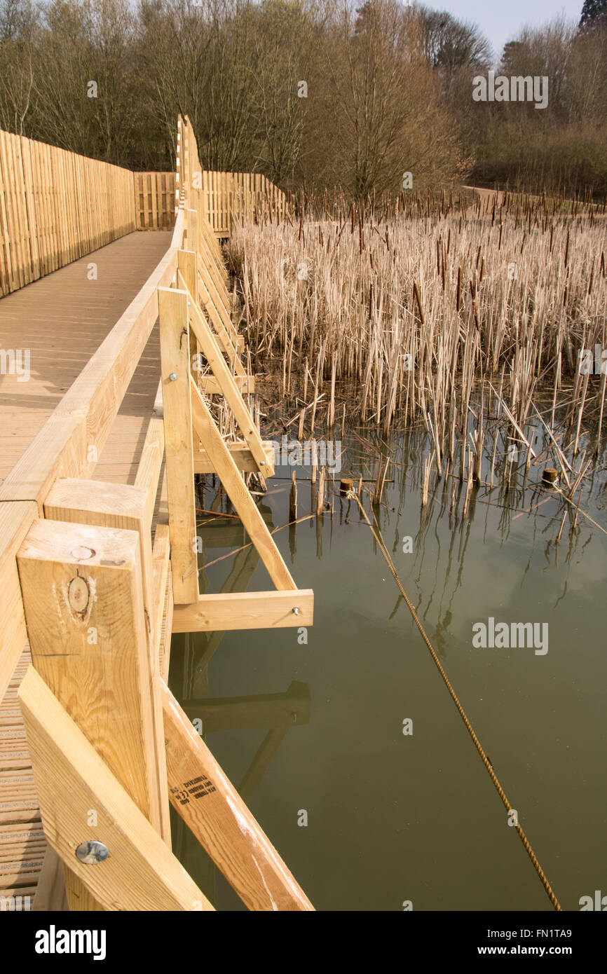 Wooden bridge over reed beds, built by Maydencroft Ltd Stock Photo - Alamy