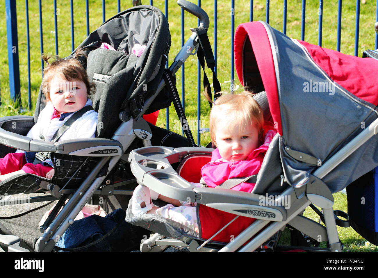 Girls buggies hot sale