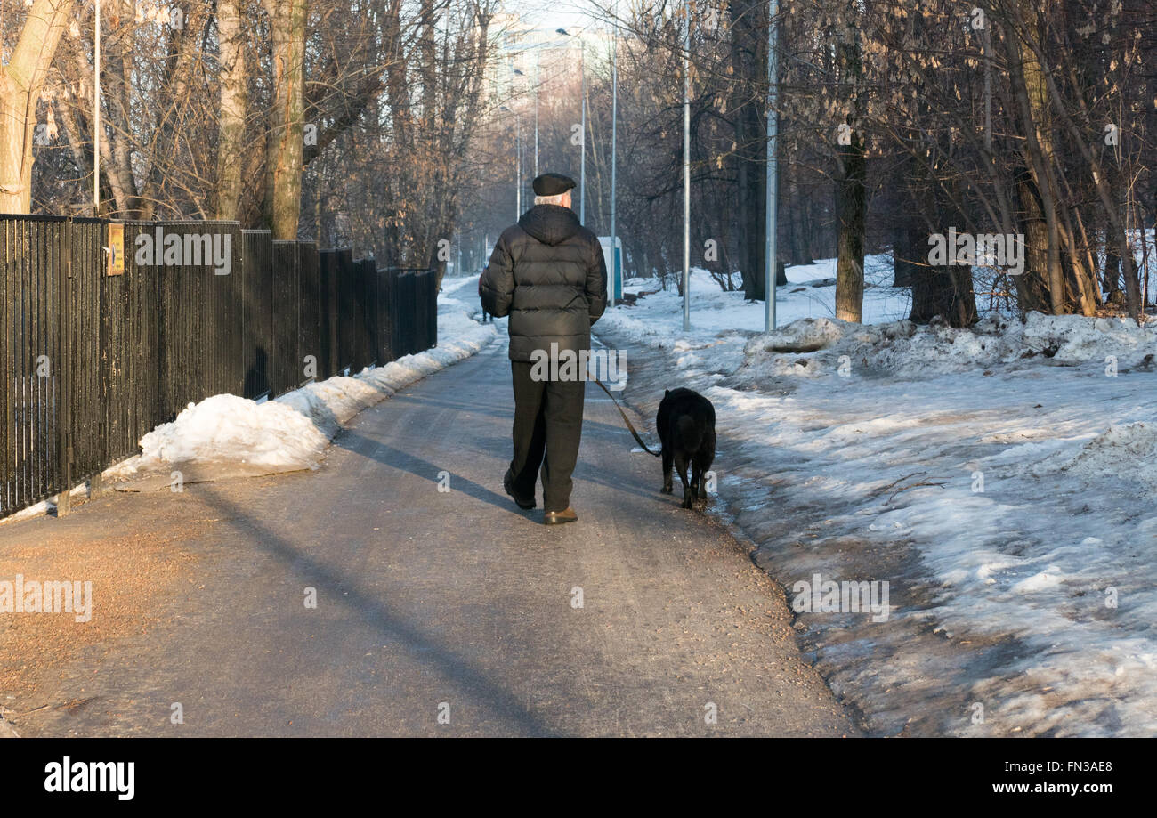 Spring Park and the man with the dog back Stock Photo