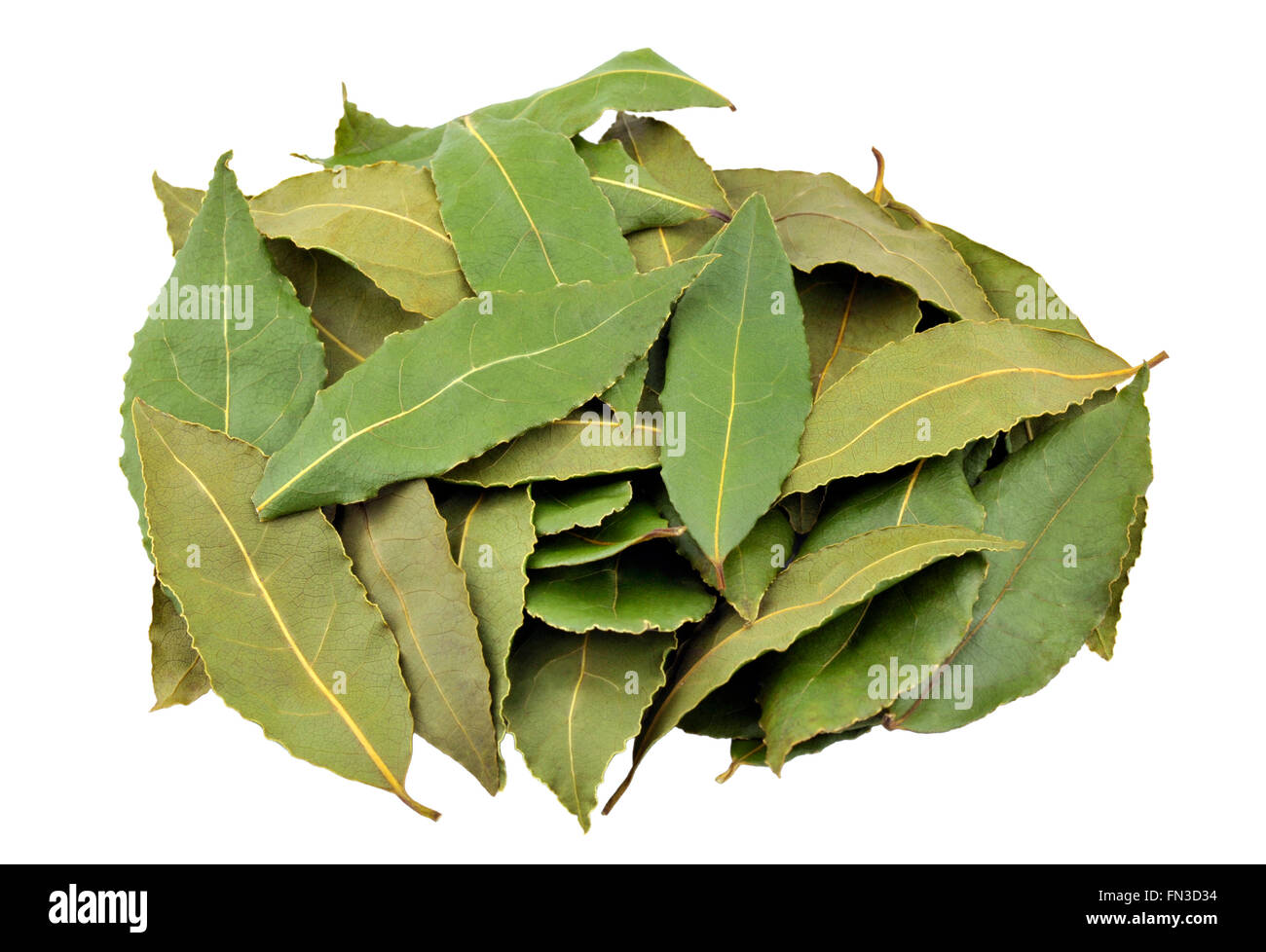 Used leaf sale