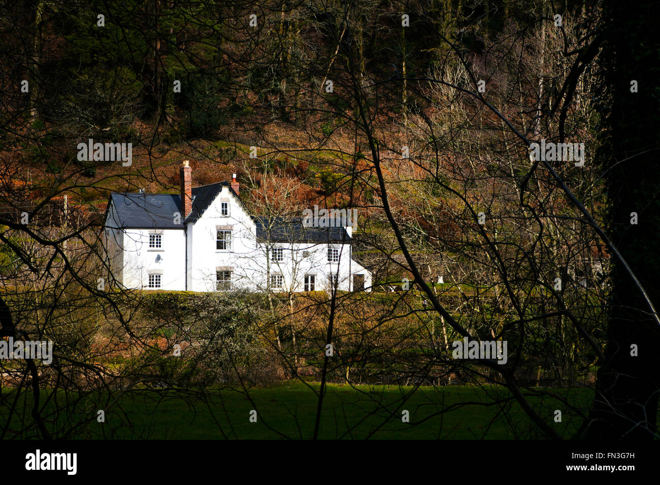 A beautiful cottage surrounded by Autumn colour Stock Photo