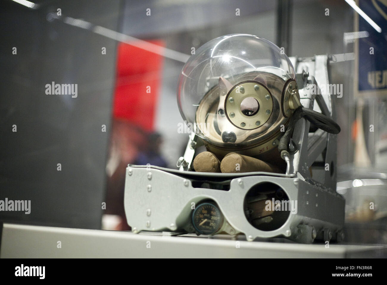 London, UK. 12th Mar, 2016. Cosmonauts: Birth of the Space Age.DOG EJECTOR SEAT AND SUIT USED ON SUBORBITAL FLIGHTS, 1960.The Science Museum exhibit has assembled a most significant collection of Russian spacecraft and artefacts ever to be shown in the UK. In 1957 Russia launched the world's first artificial satellite, Sputnik, into space and just four years later sent the first ever human ''“ Yuri Gagarin. It was Russia that turned the dream of space travel into a reality and became the first nation to explore space. On display was Vostok 6: the capsule flown by Valentina Tereshkova, the Stock Photo