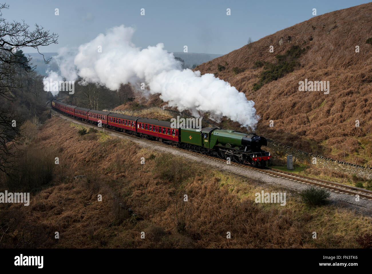 Goathland, North York Moors, UK. 13th March, 2015. Following a £4.2 million overhaul, the LNER Class A3 “Pacific” steam locomotive number 60103 "Flying Scotsman"  returns to passenger service on the North York Moors Railway. In full steam she passes Hawthorn Hill on her approach to Goathland station. Credit:  Dave Pressland/Alamy Live News. Stock Photo