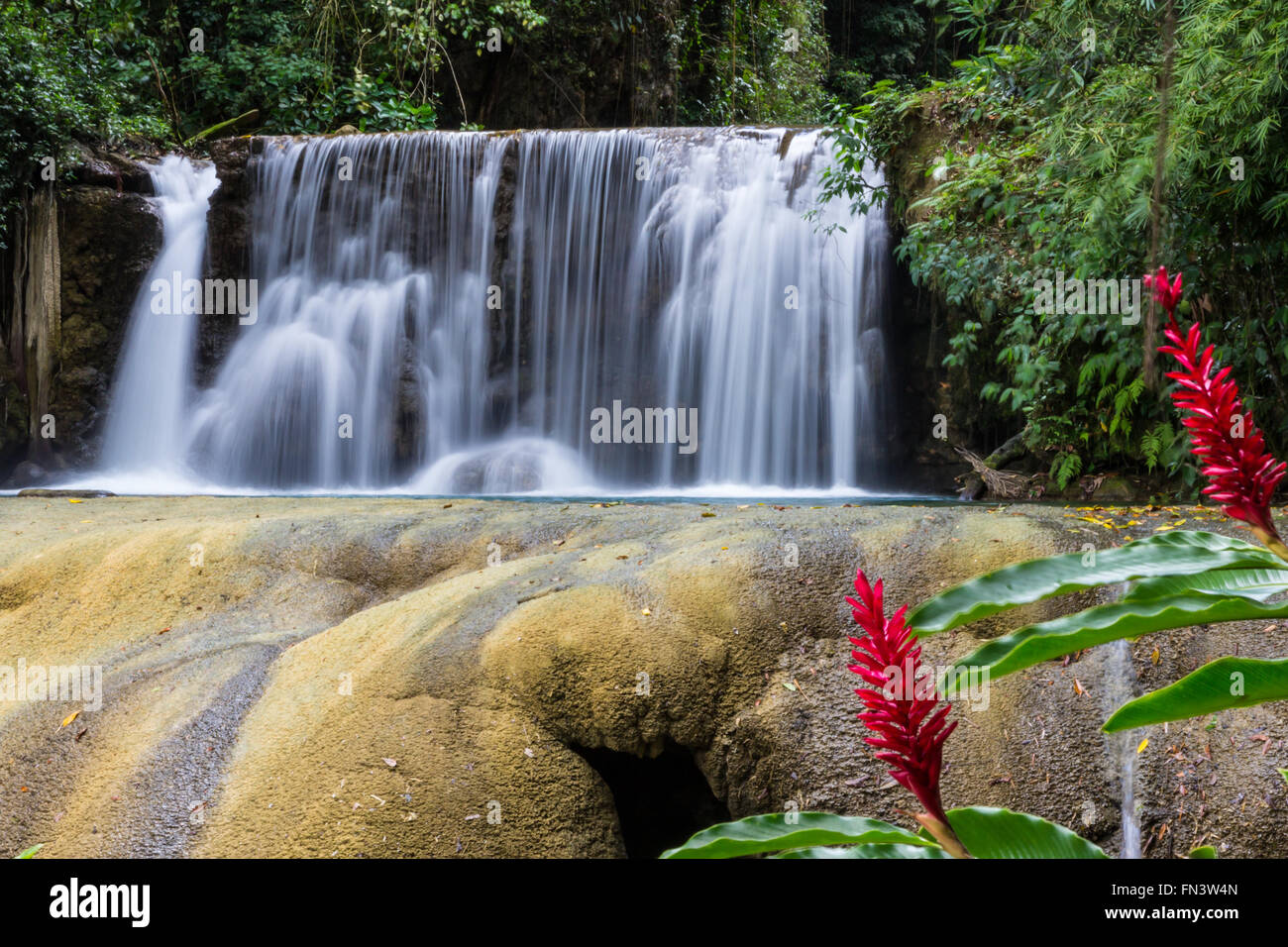 Upper falls at YS Falls, Jamaica Stock Photo