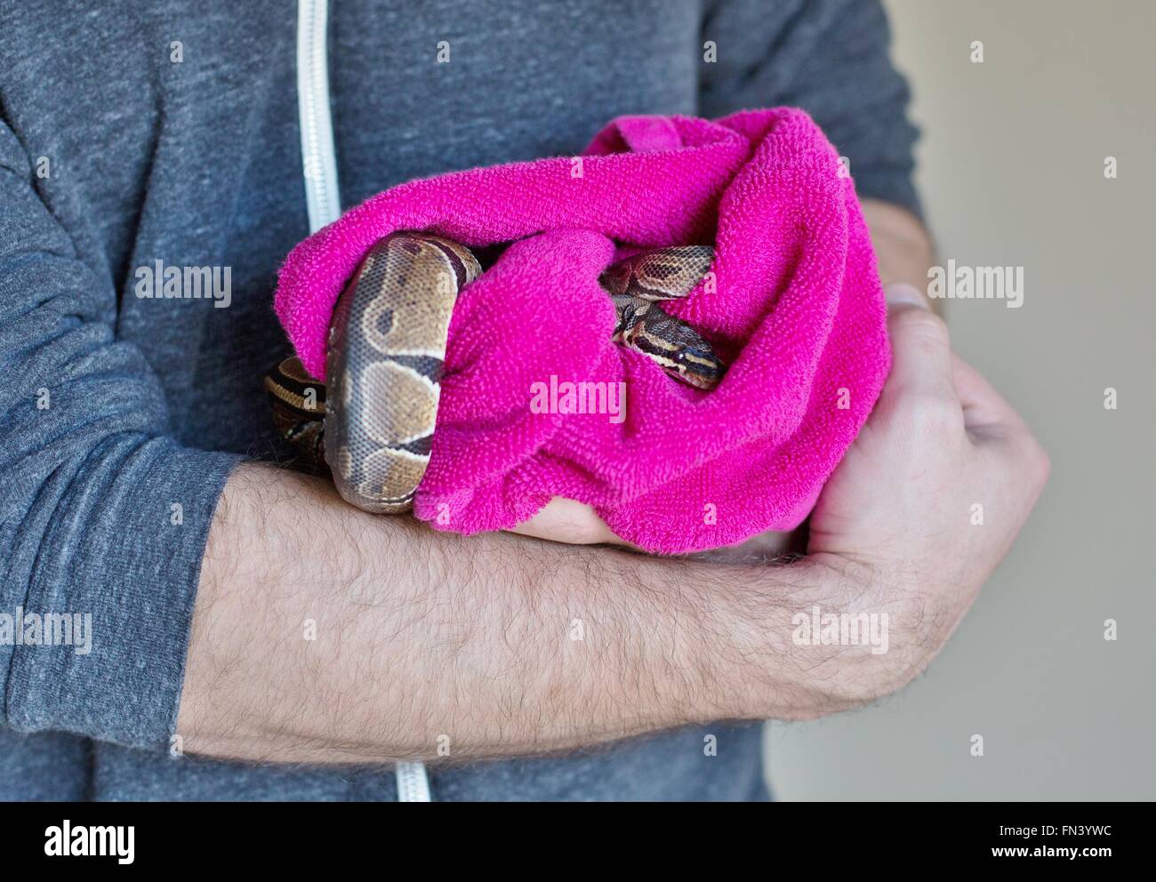 Snake wrapped hi-res stock photography and images - Alamy
