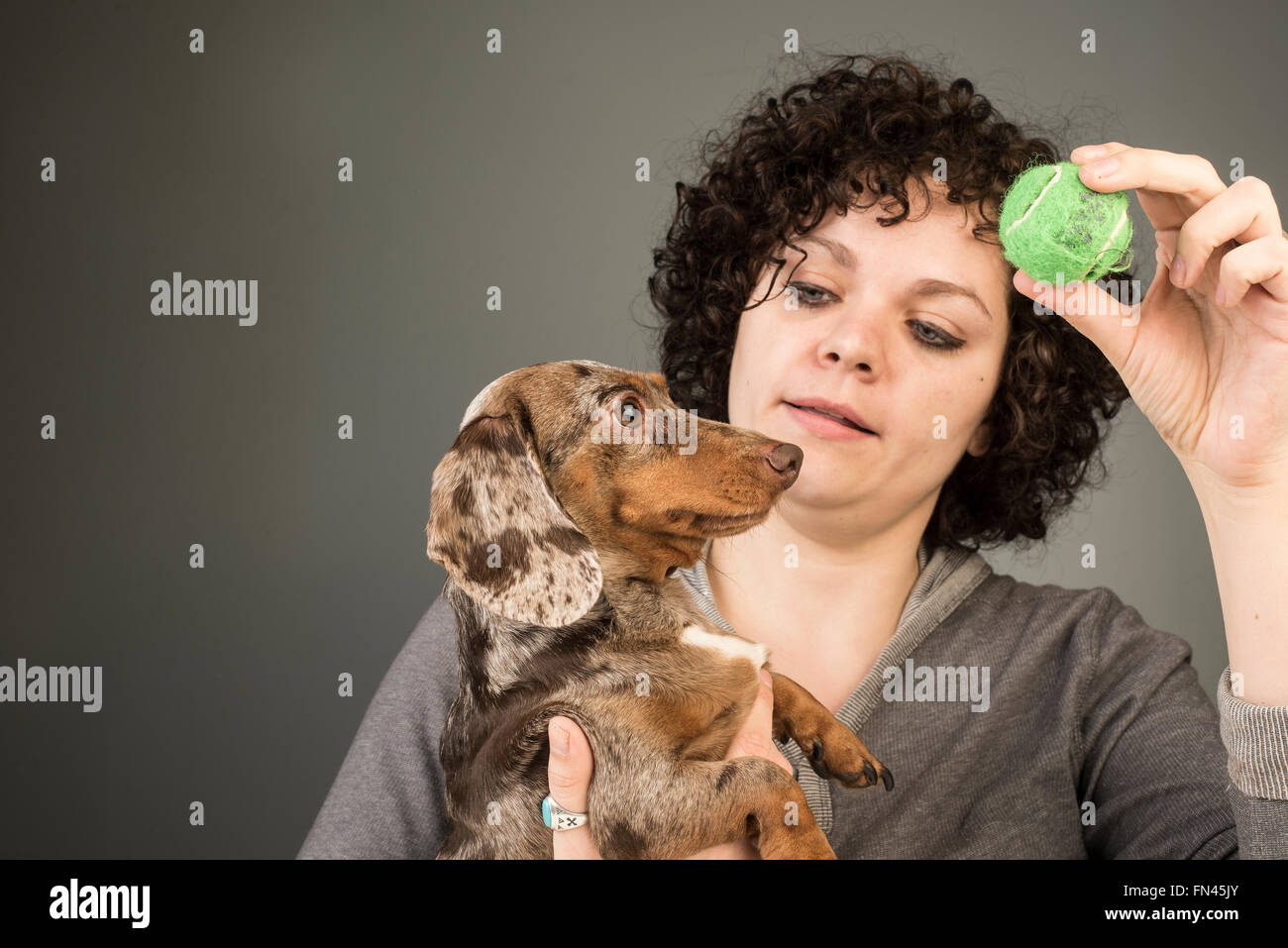 Pretty Caucasian woman with curly brown hair holding small tennis ball in front of dapple dachshund Stock Photo