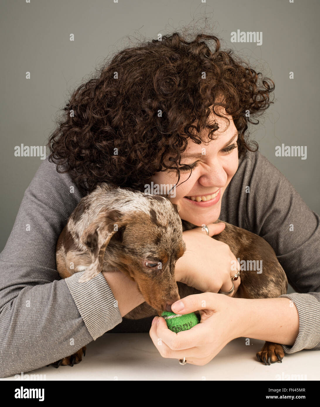 Pretty young Caucasian woman hugging small dapple dachshund with small tennis ball in one hand and light gray background Stock Photo