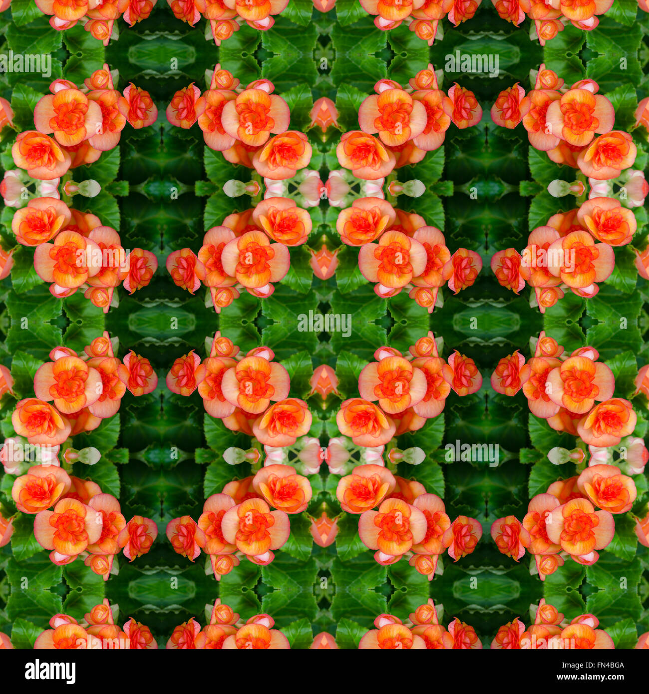 begonia flower seamless pattern background Stock Photo - Alamy