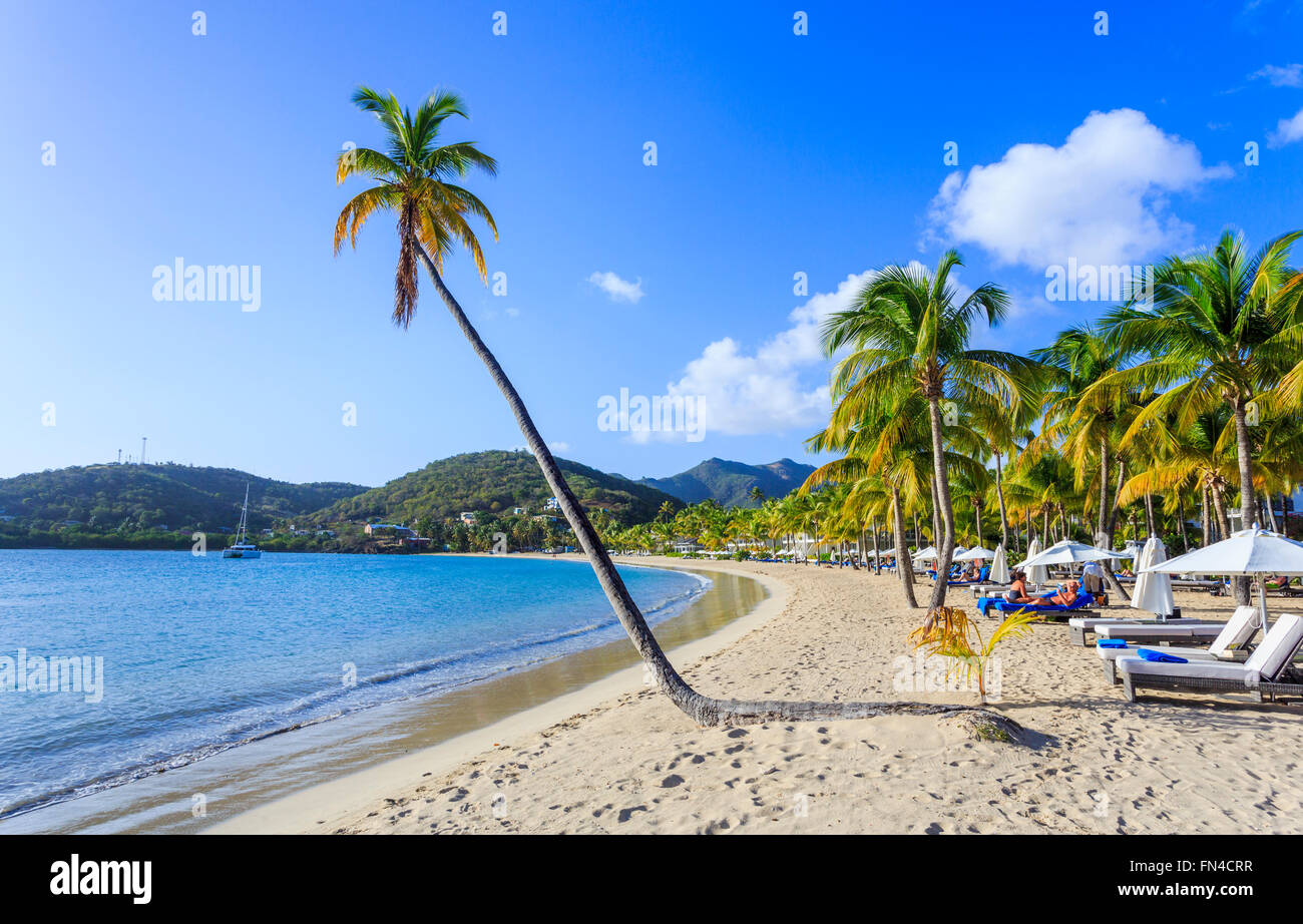 Sunny Golden Sandy Beach And Azure Sea At Carlisle Bay South West Antigua Antigua And Barbuda West Indies Under A Blue Sky Stock Photo Alamy