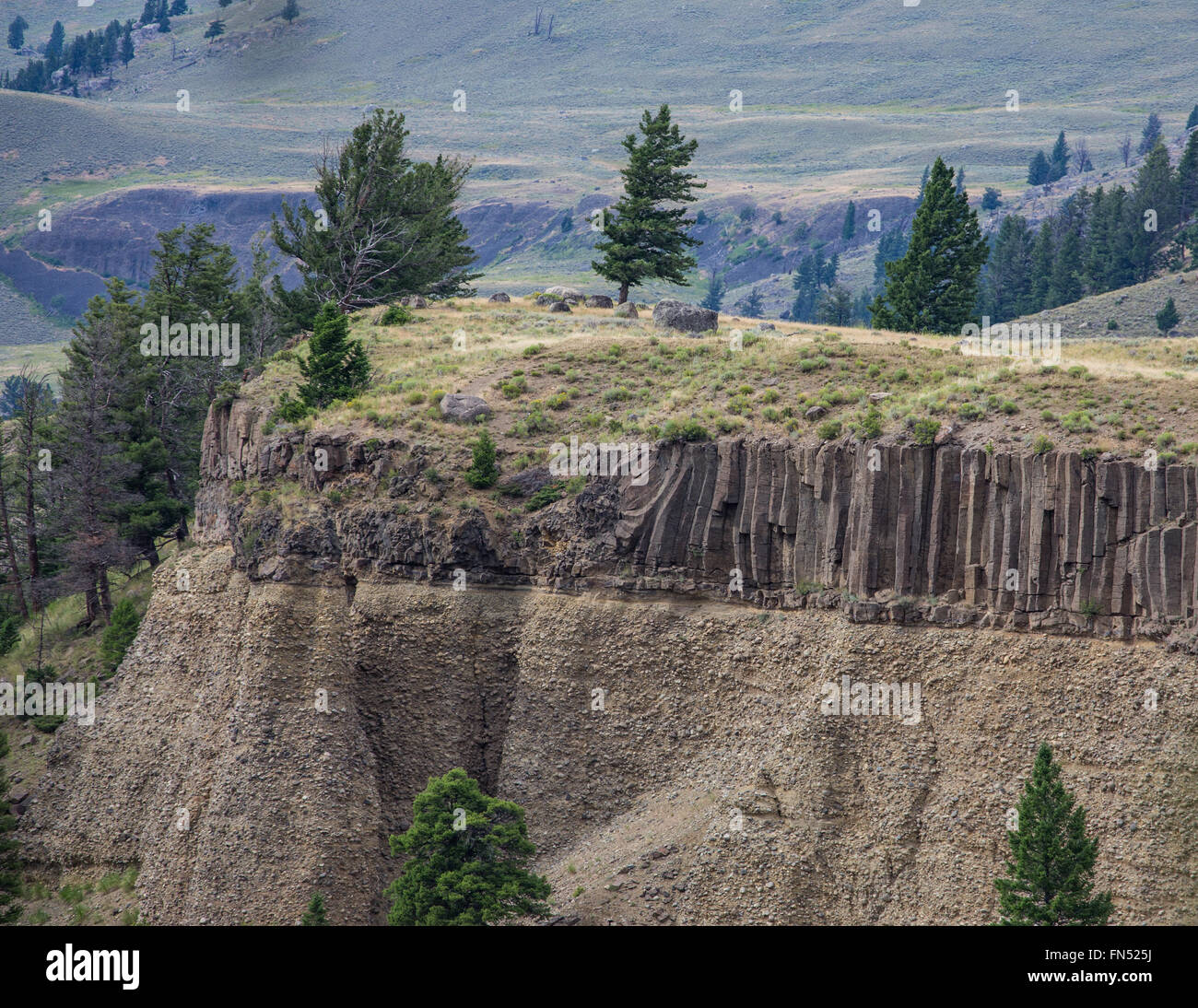 Basalt Cliff in Yellowstone Stock Photo Alamy