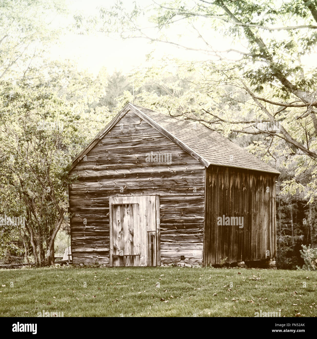 Wooden hut in the forest in Vermont, USA Stock Photo