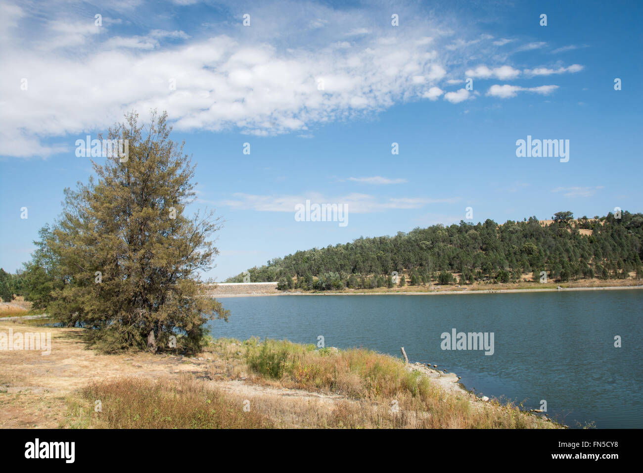 Quipolly Dam,  providing water for small town Werris Creek. northern NSW Australia, Stock Photo