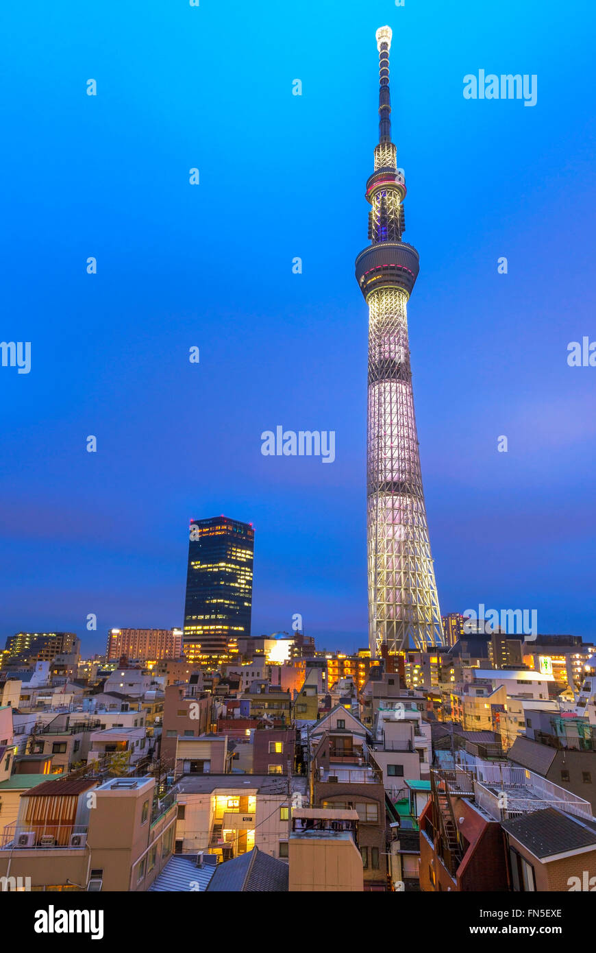 A blended night shot of the Skytree tower in Tokyo. Stock Photo
