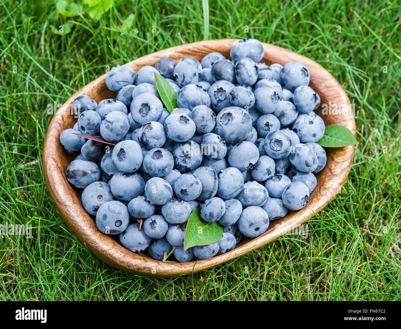 Ripe blueberries in the wooden bowl over green grass Stock Photo - Alamy