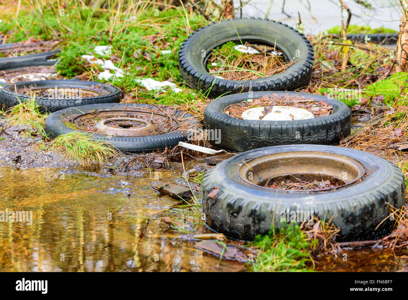 A bunch of used old car tires left in nature to degrade and pollute the environment. The ground is wet and a water puddle is vis Stock Photo