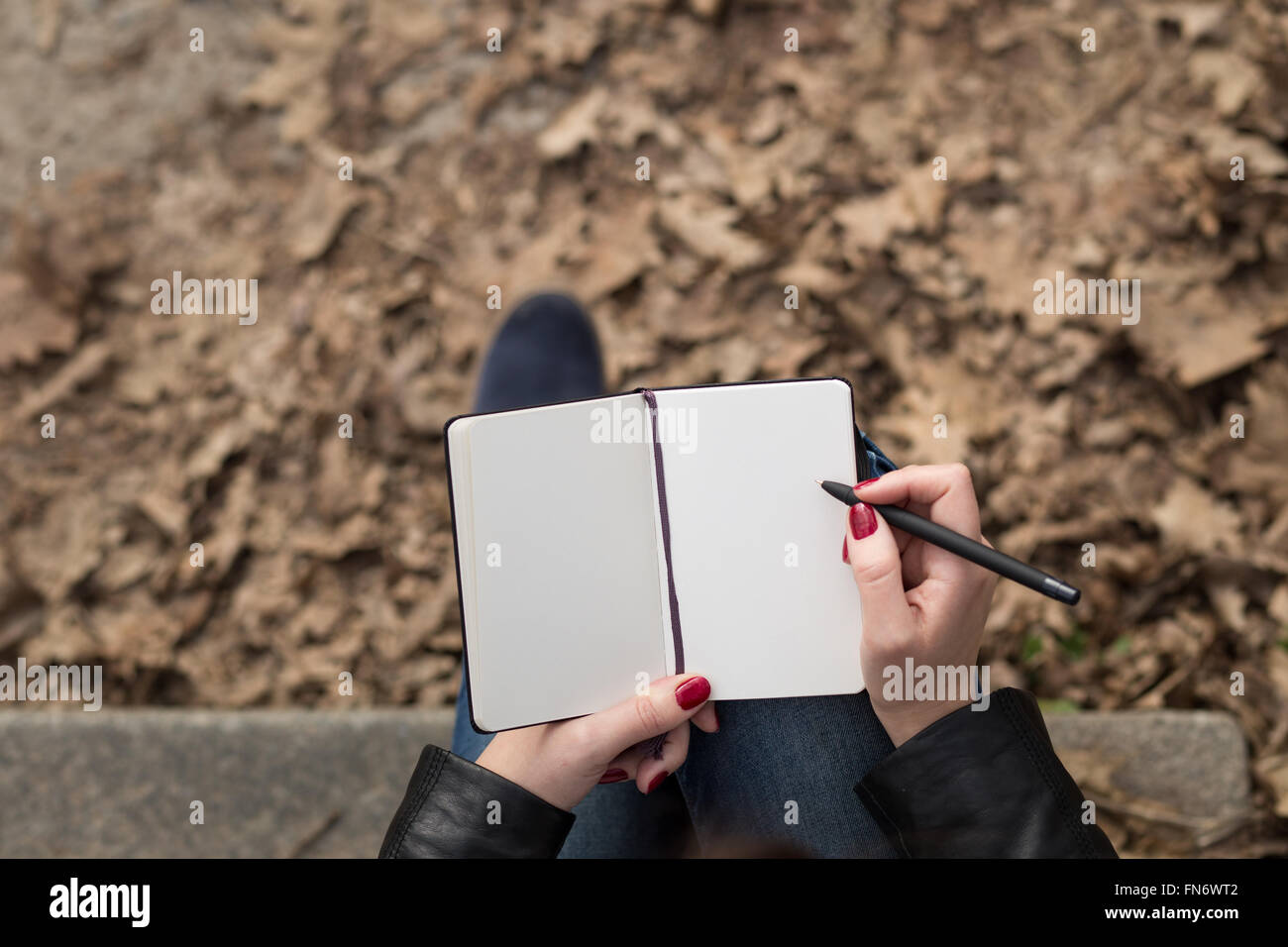 Top view image of open pad in feamle hands with pen sitting on stairs in the park. Blank sheets of small notebook overhead view Stock Photo
