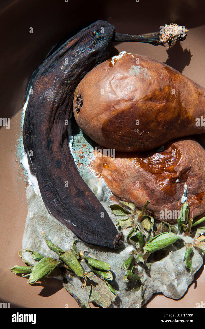 Fruit Bowl Mould High Resolution Stock Photography And Images Alamy