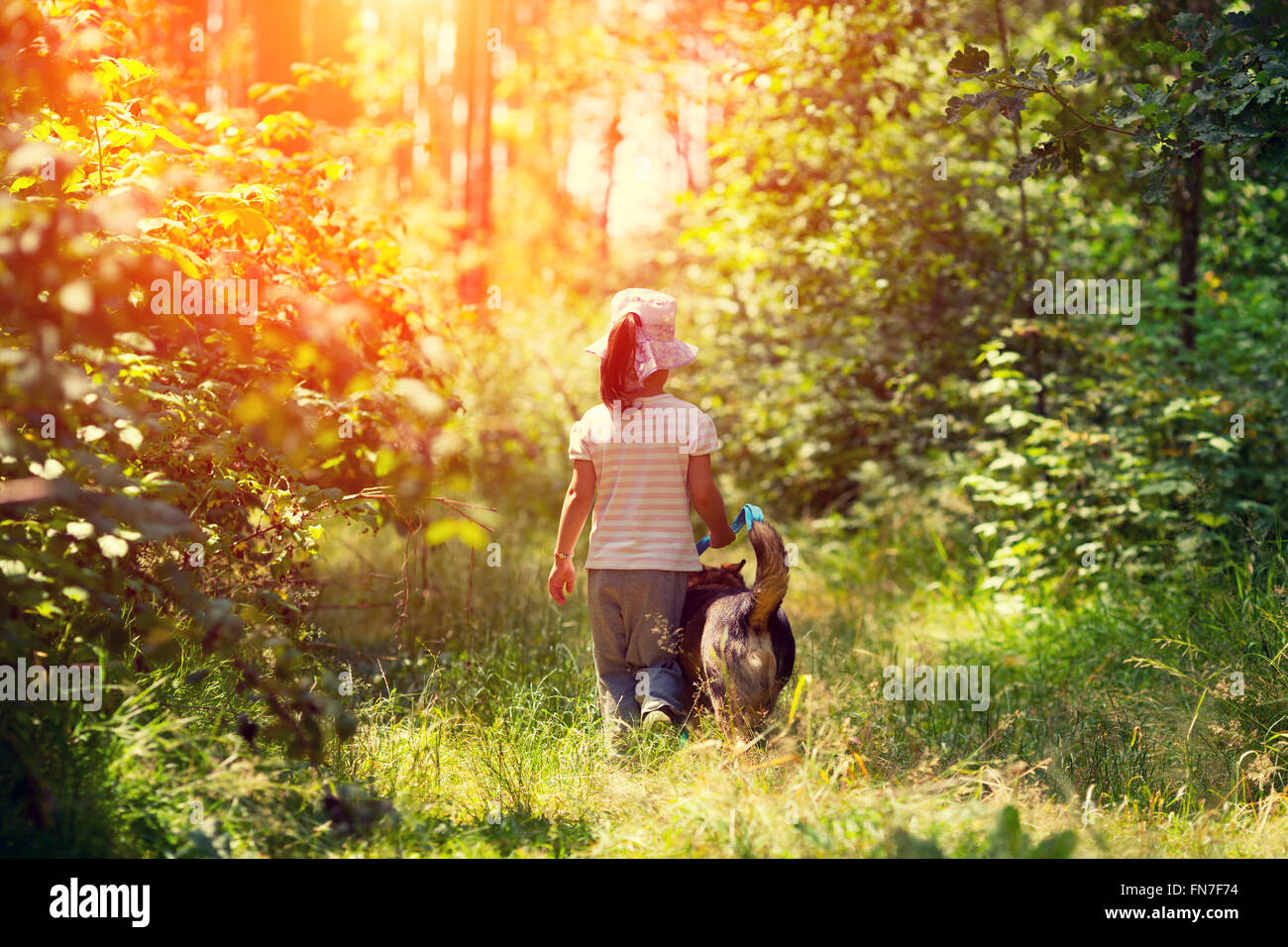 Little girl walking with dog in the forest back to camera Stock Photo ...