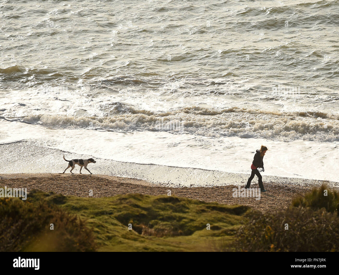 Woman walks her dogs on Preston beach, Dorset, UK Stock Photo